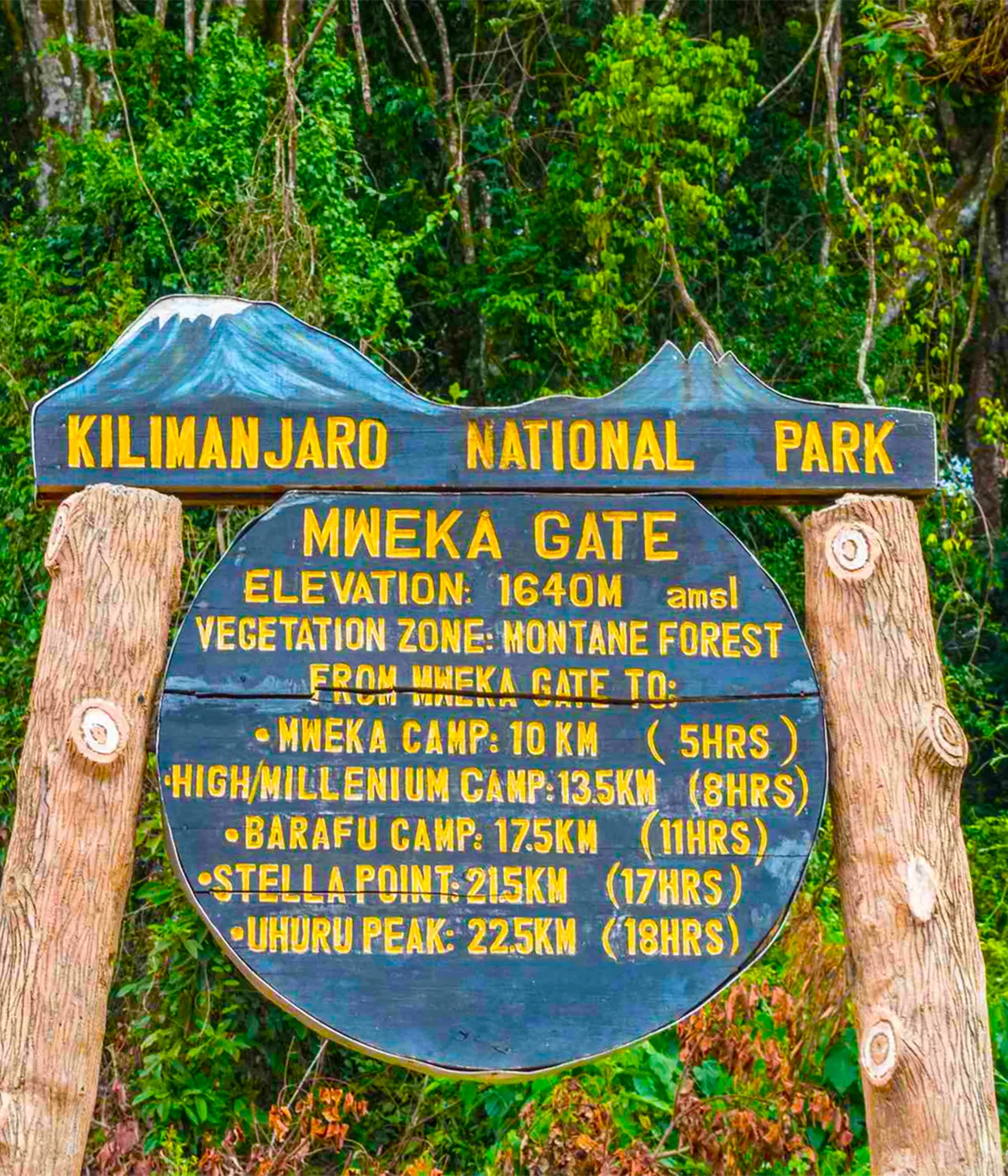 Mweka Campsite