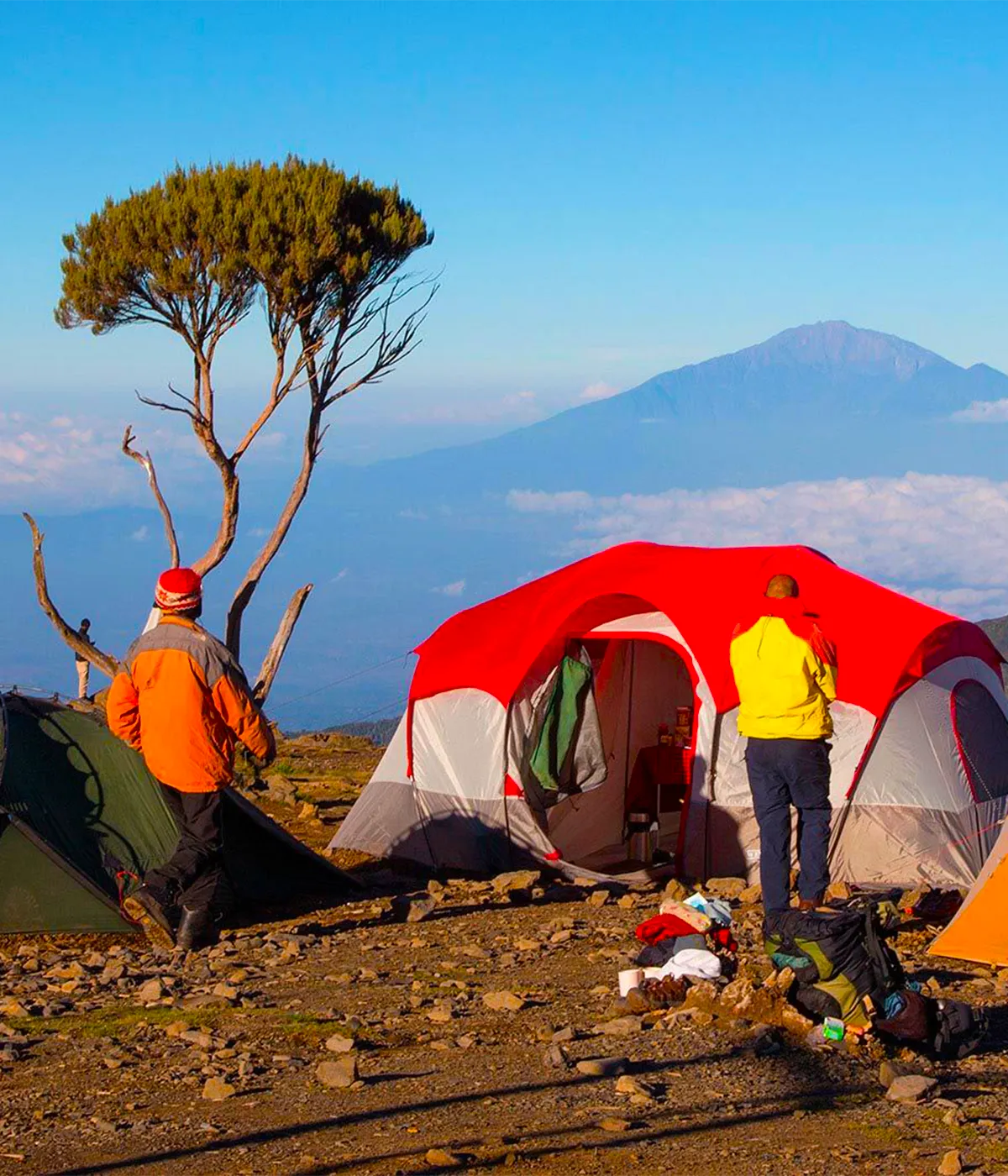 Mti Mkubwa Campsite