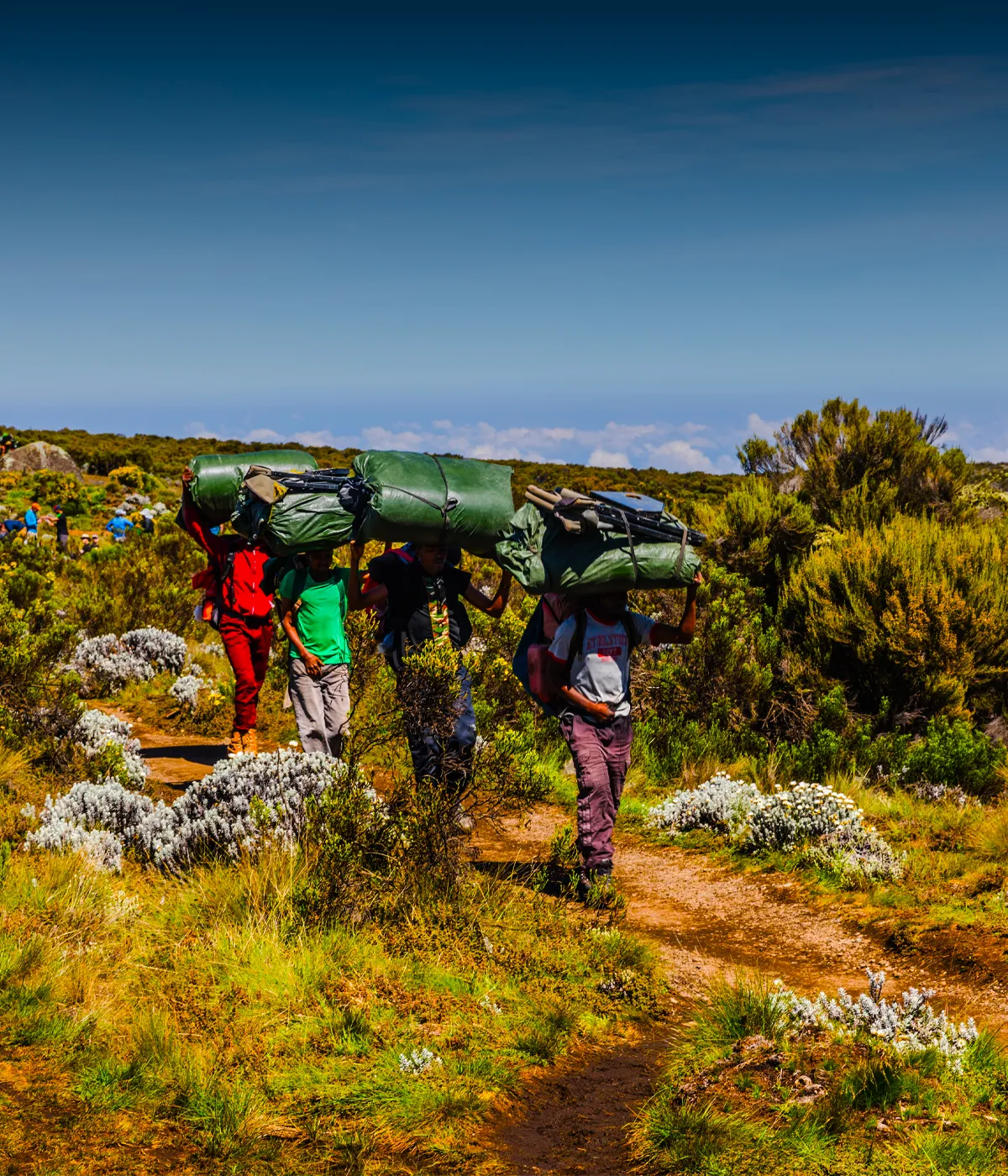 7 Days Lemosho Route