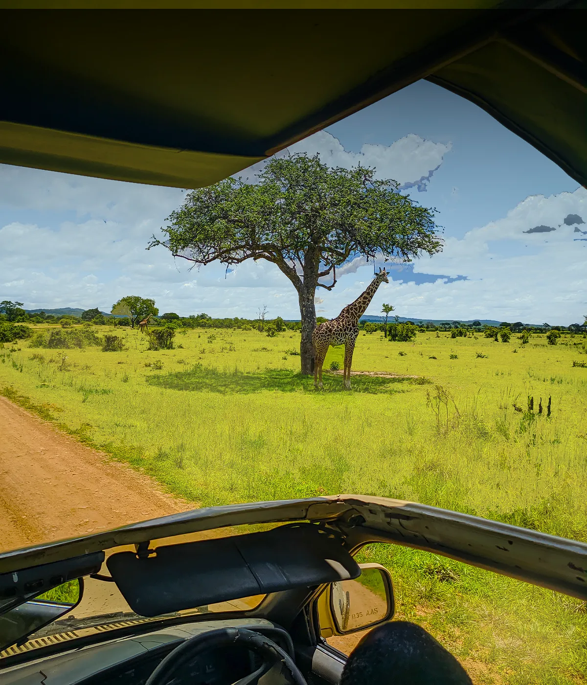 Tarangire National Park Gate