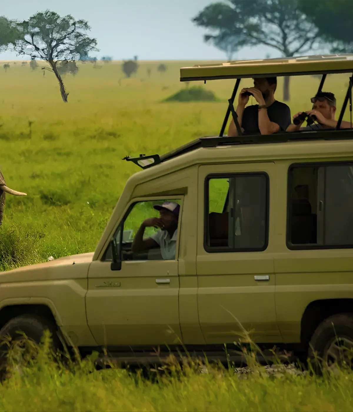 Serengeti National Park Game Drive