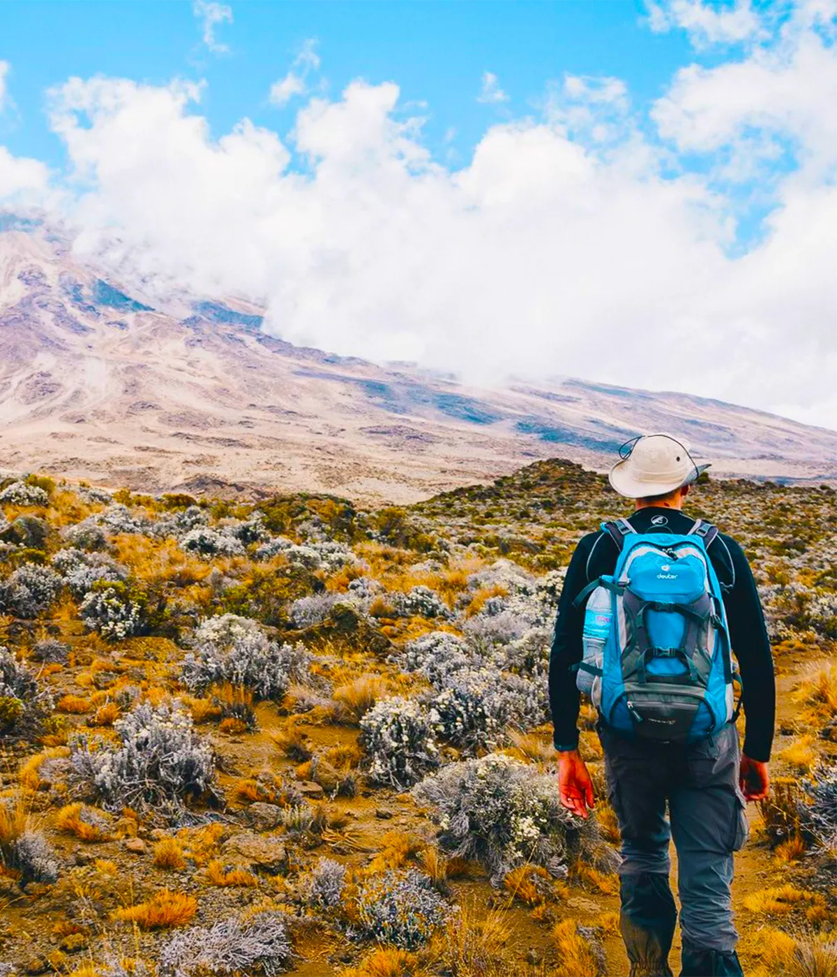 Rongai Route Trekking