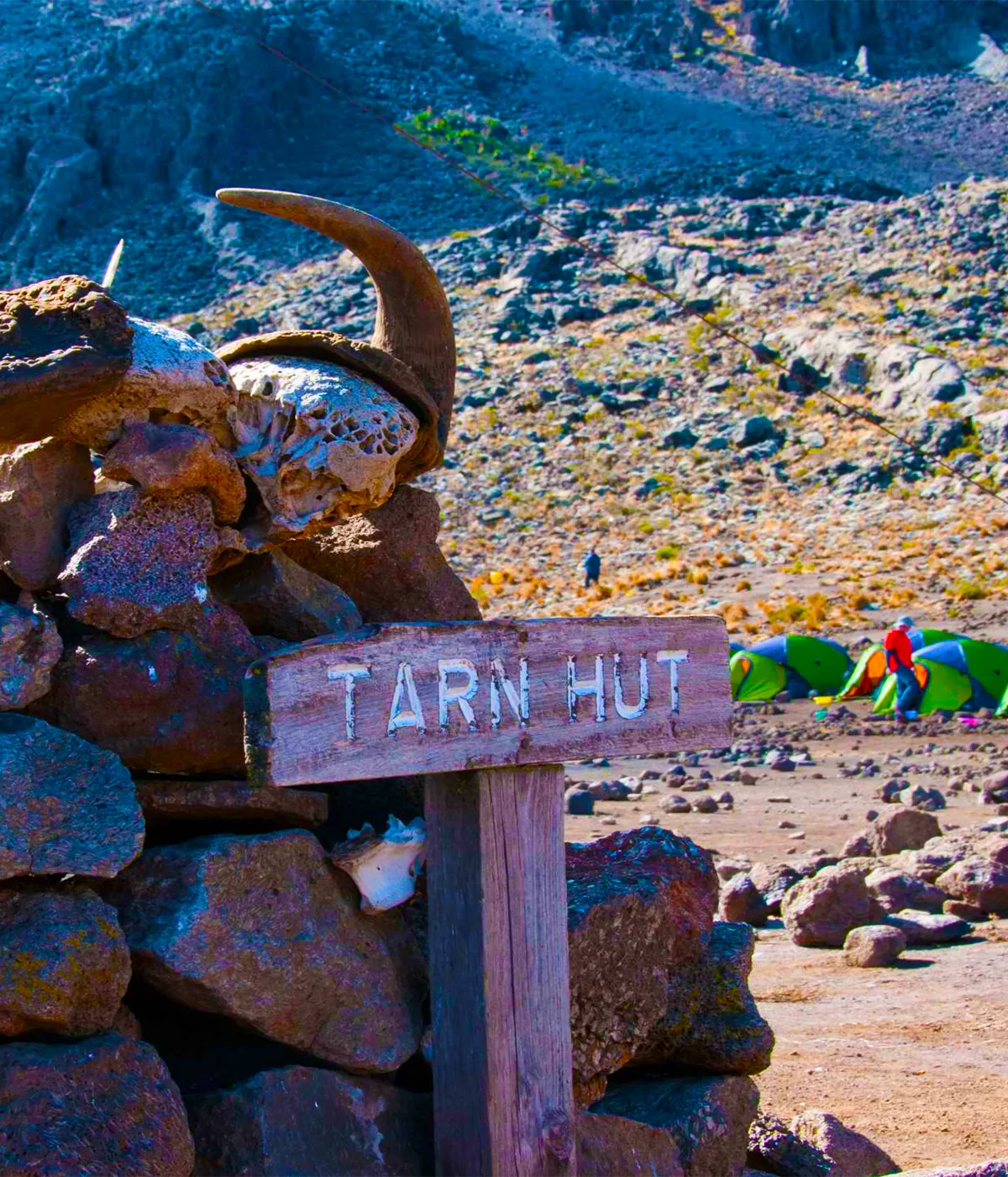 Mawenzi Tarn