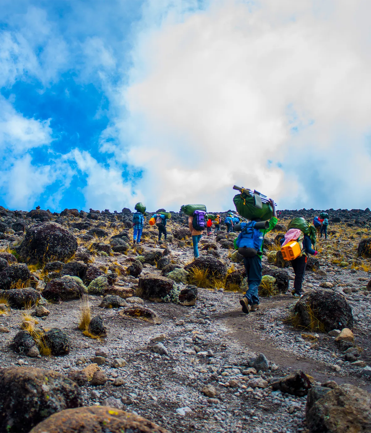 Horombo Hut Route
