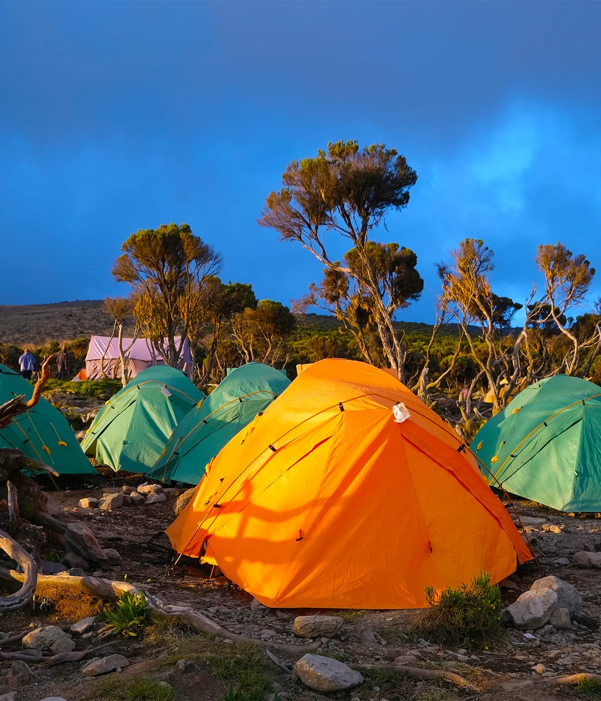 Horombo Hut Camp