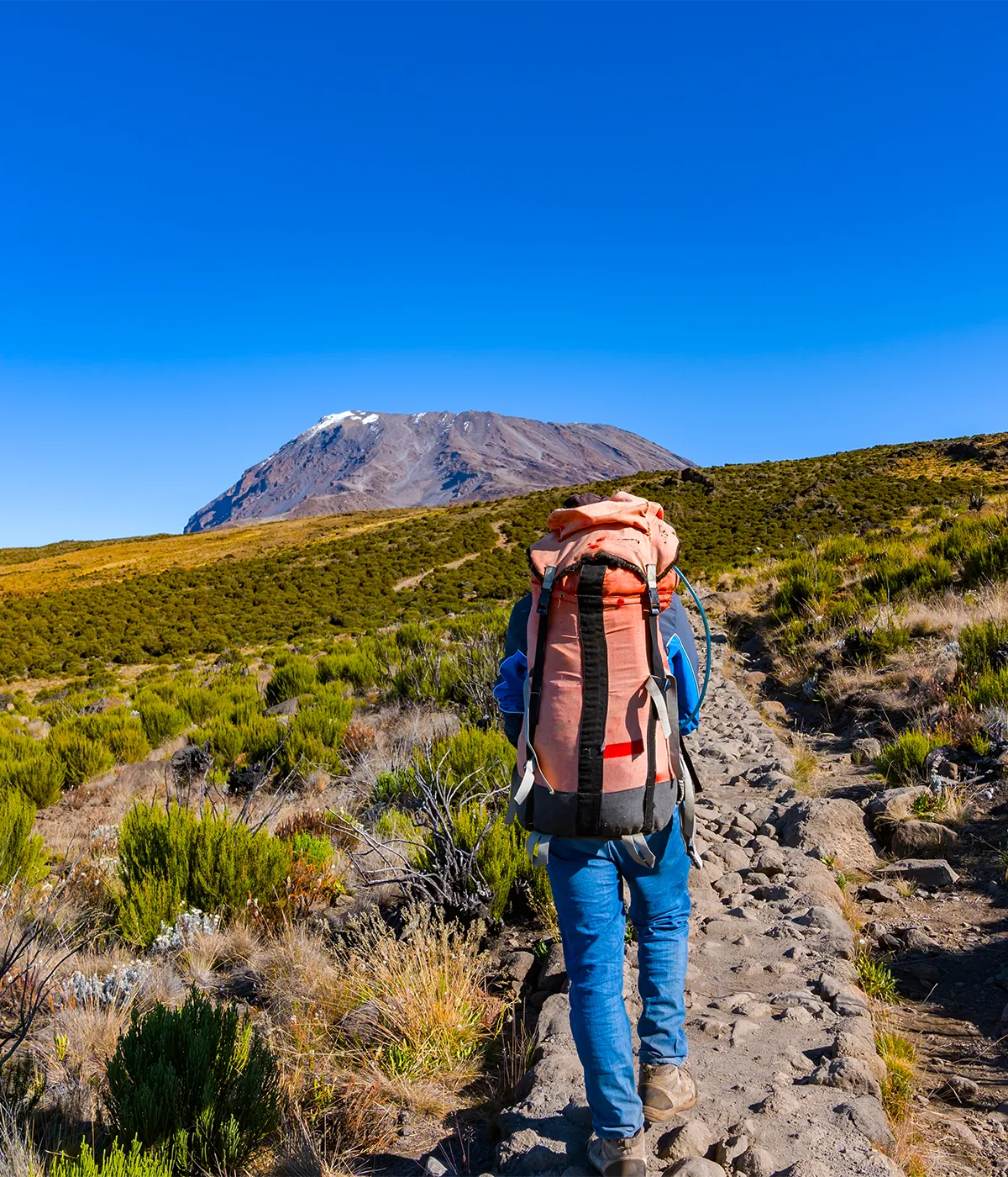 Rongai Route Trekking