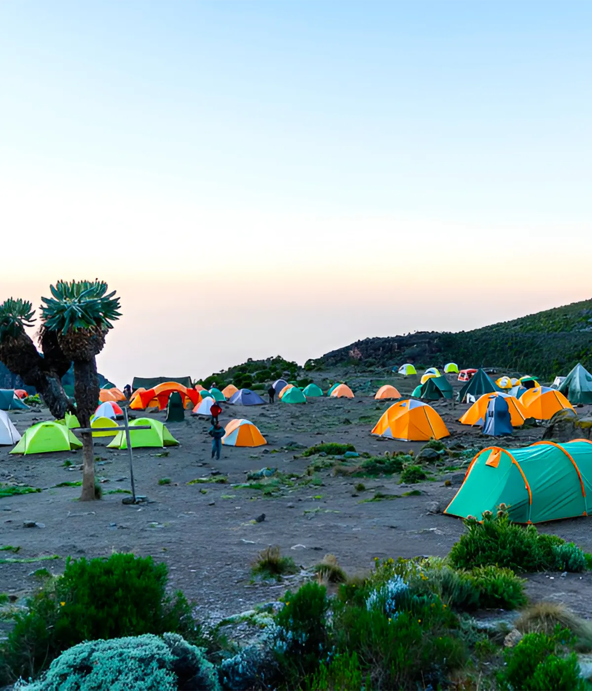 Kikelewa Campsite