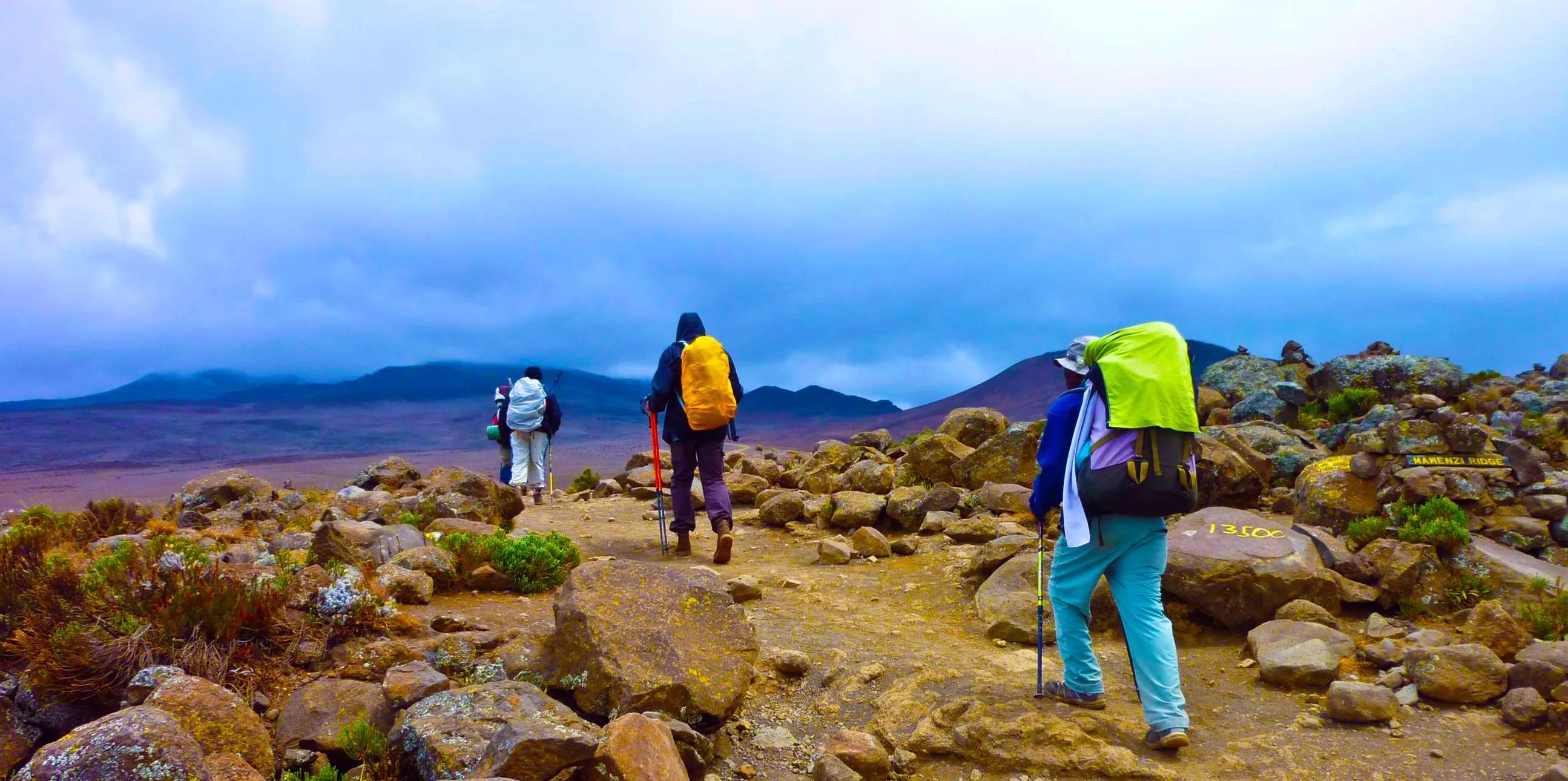 7 Days Rongai Route