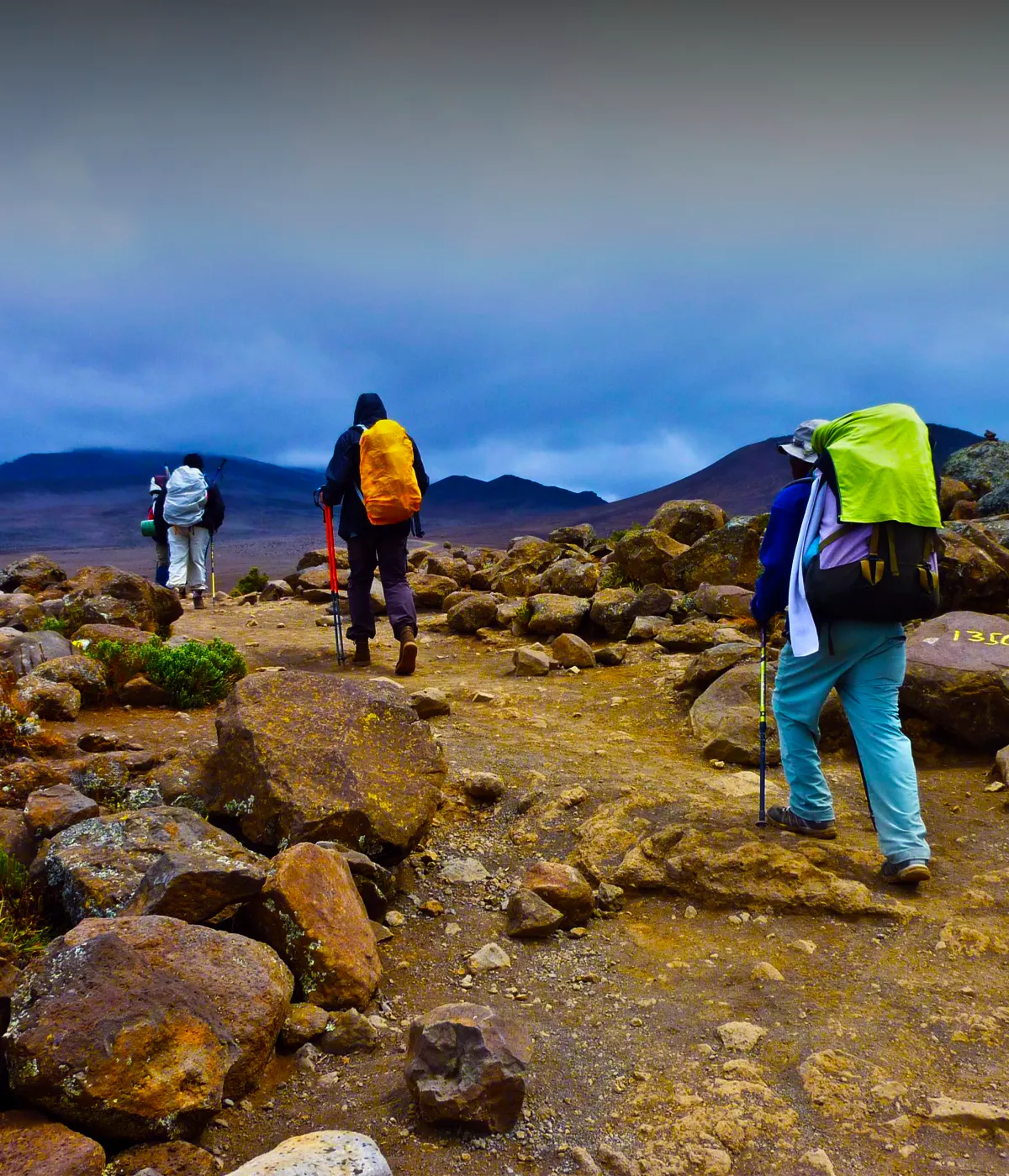 7 Days Rongai Route
