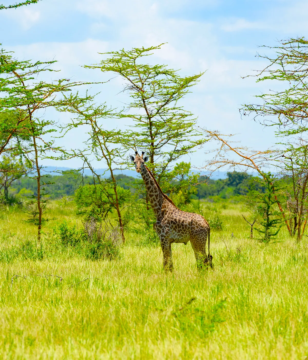 Arusha National Park Attractions