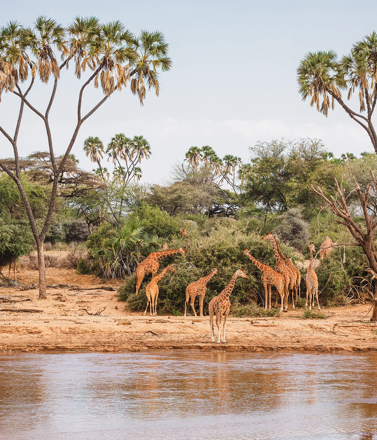 Arusha- Tarangire Attractions