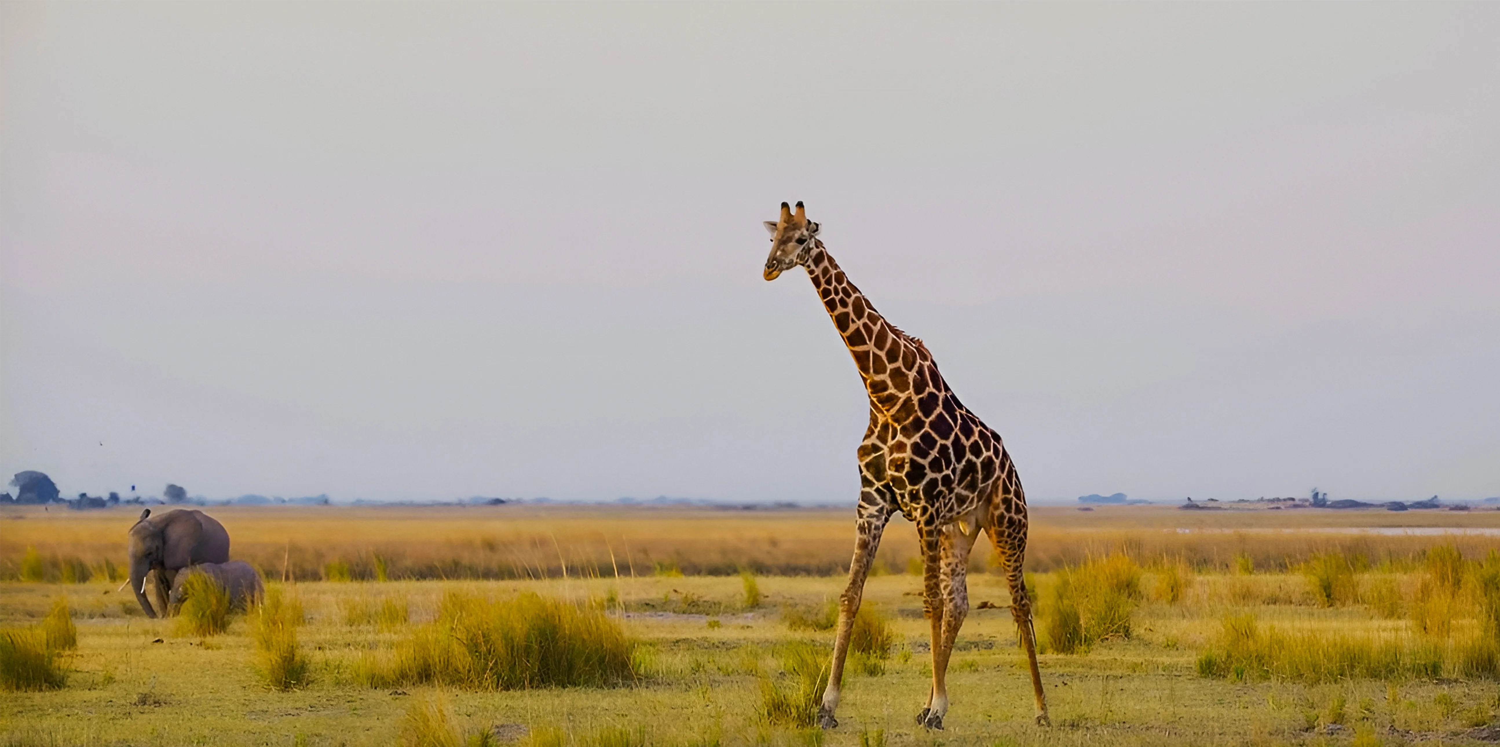 7 Days Tanzania Safari