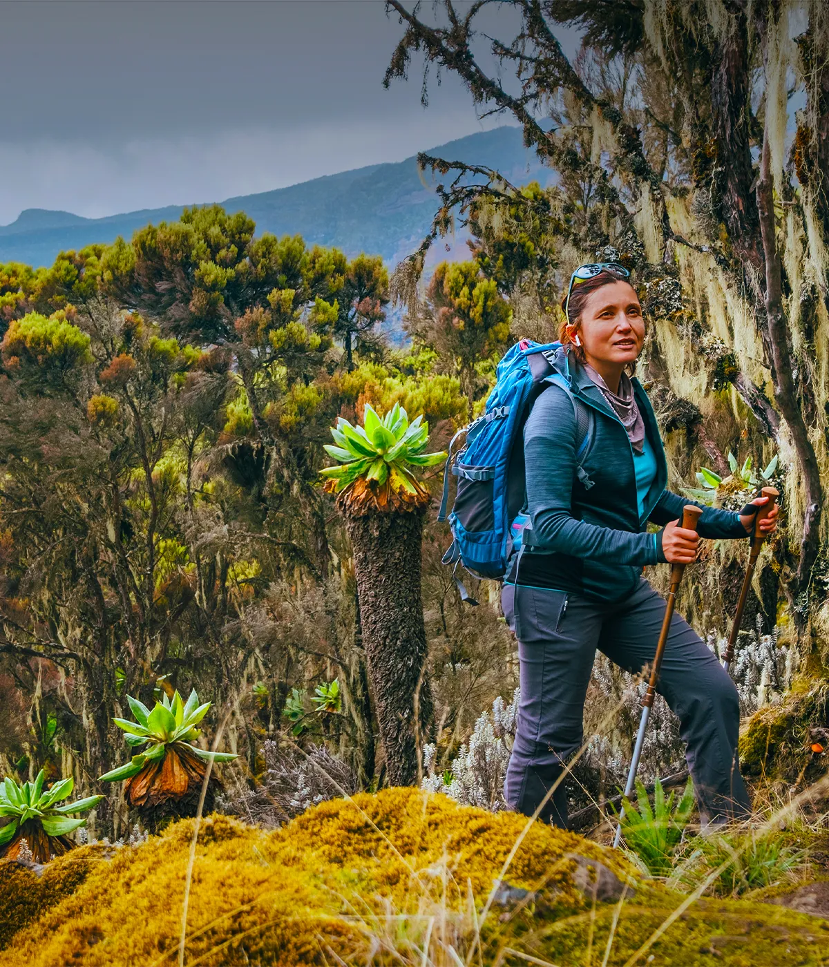 Umbwe Route Trekking 