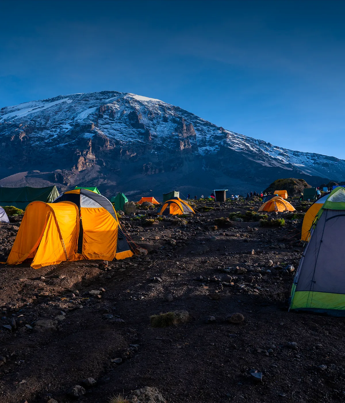 Mweka Camp View