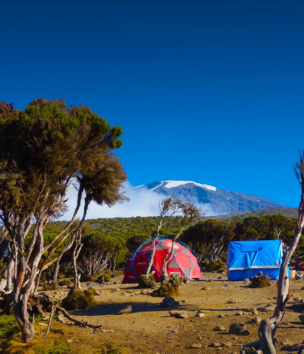 Mweka Camp Site