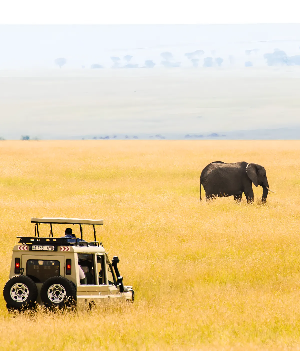 Arusha- Tarangire Walking Safari