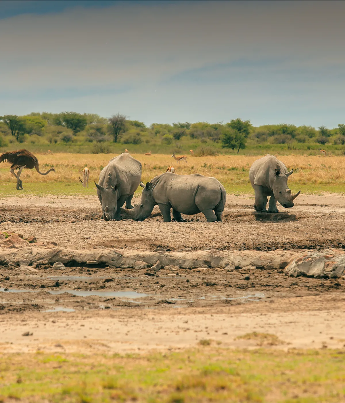 Arusha National Park Attractions