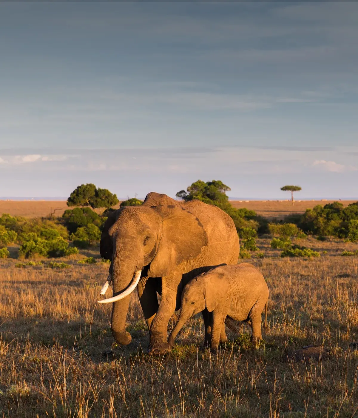Arusha National Park Big Five
