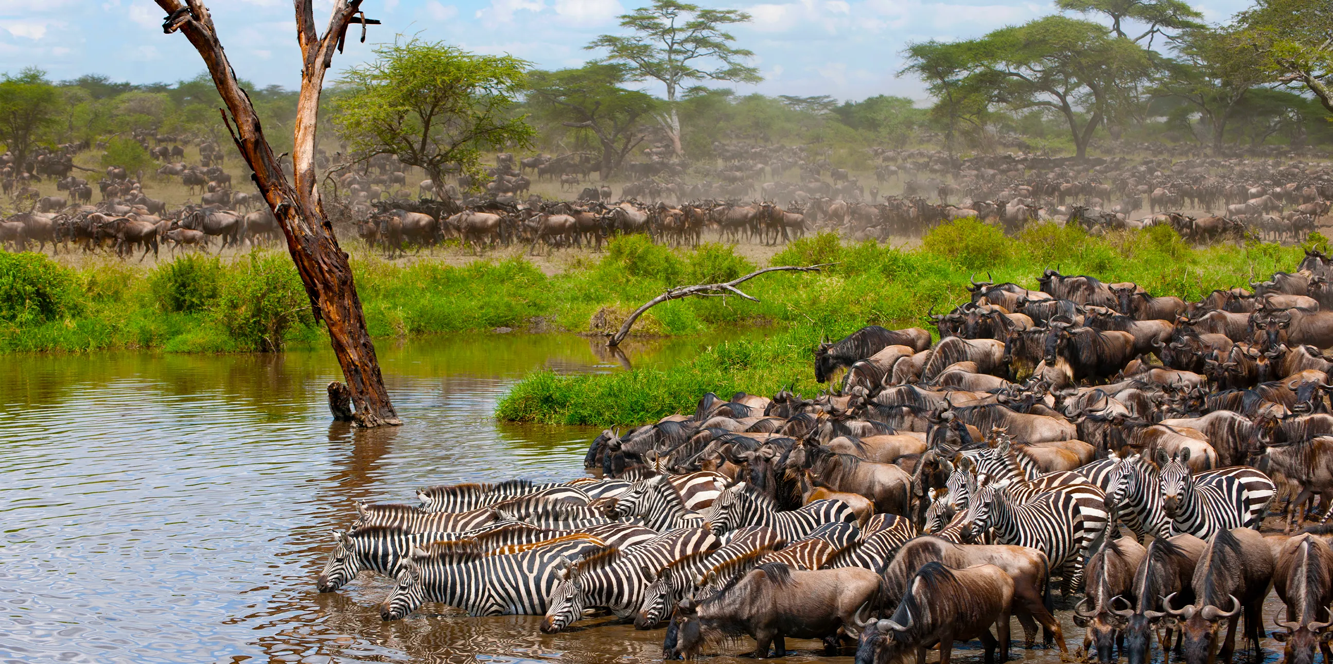 8 Days Migration Safari in Tanzania 
