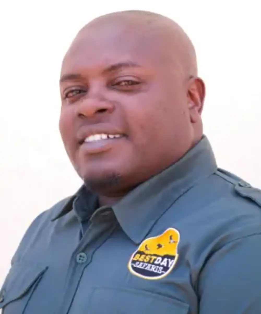 Ali