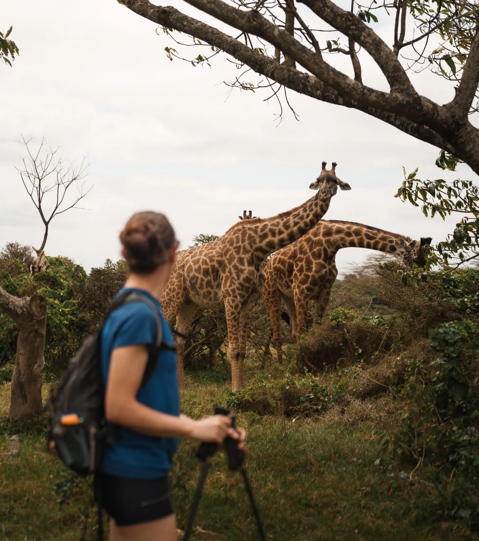 Walking Safari in Arusha