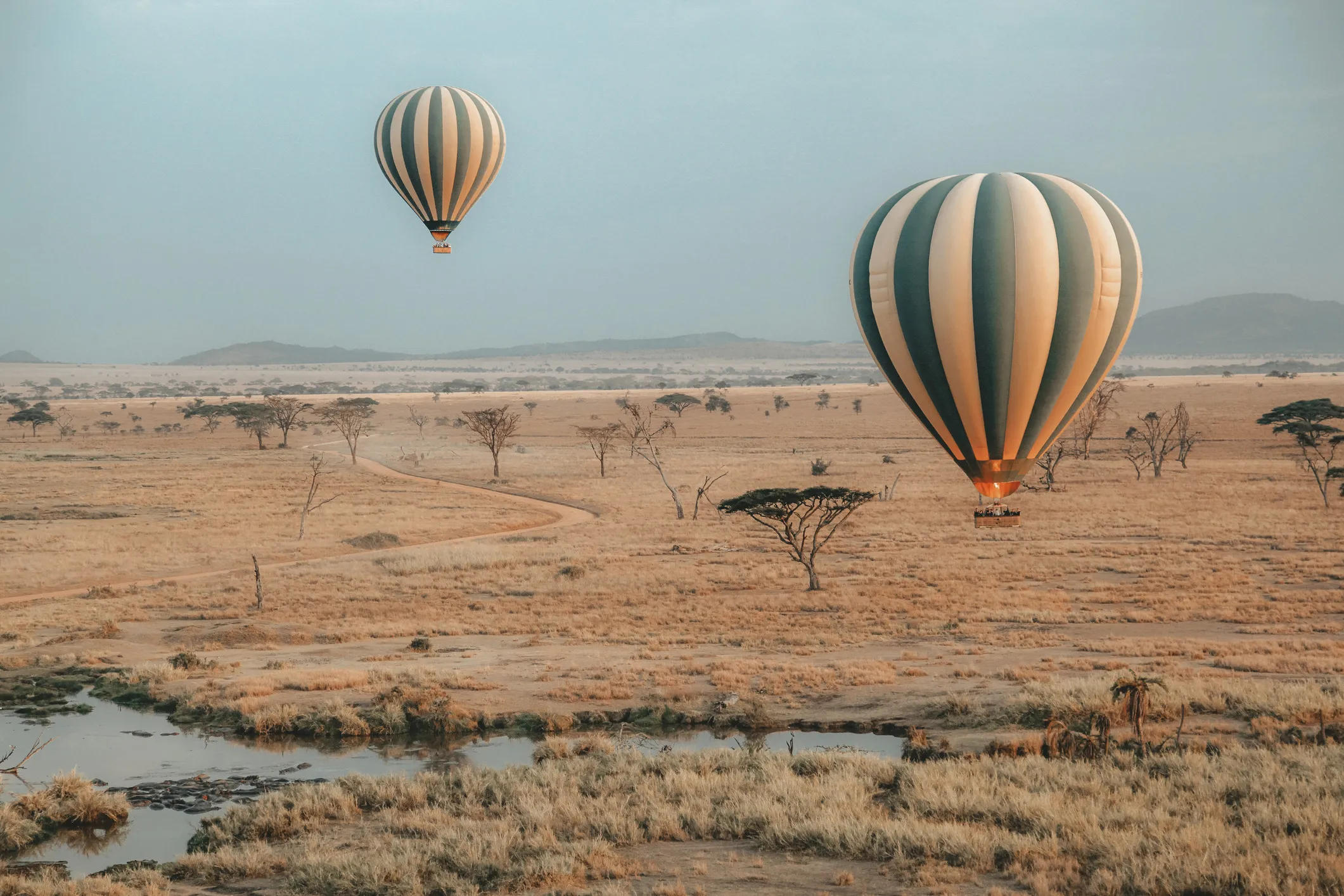 Hot Air Balloon Safaris