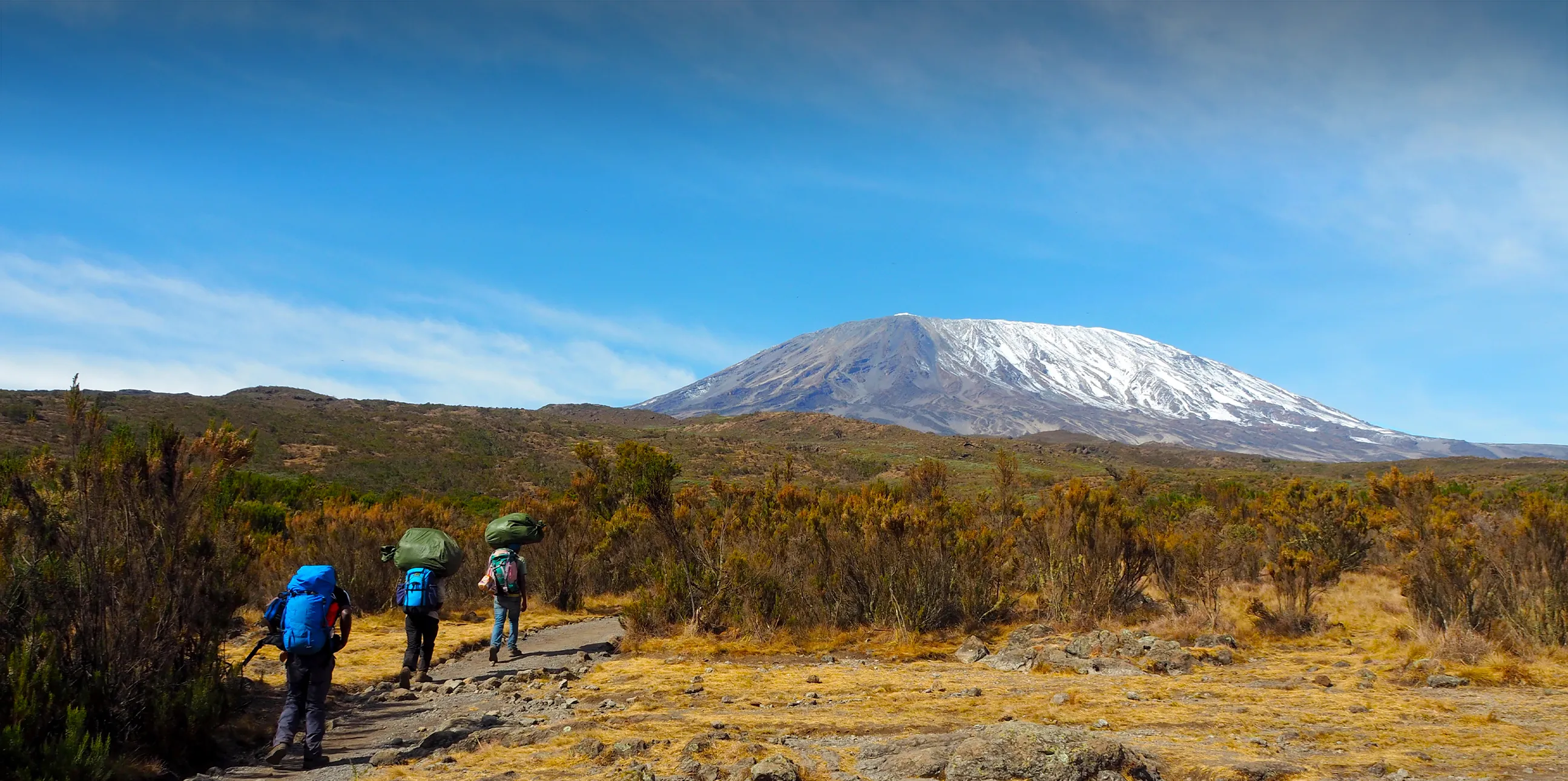 Kilimanjaro FAQs