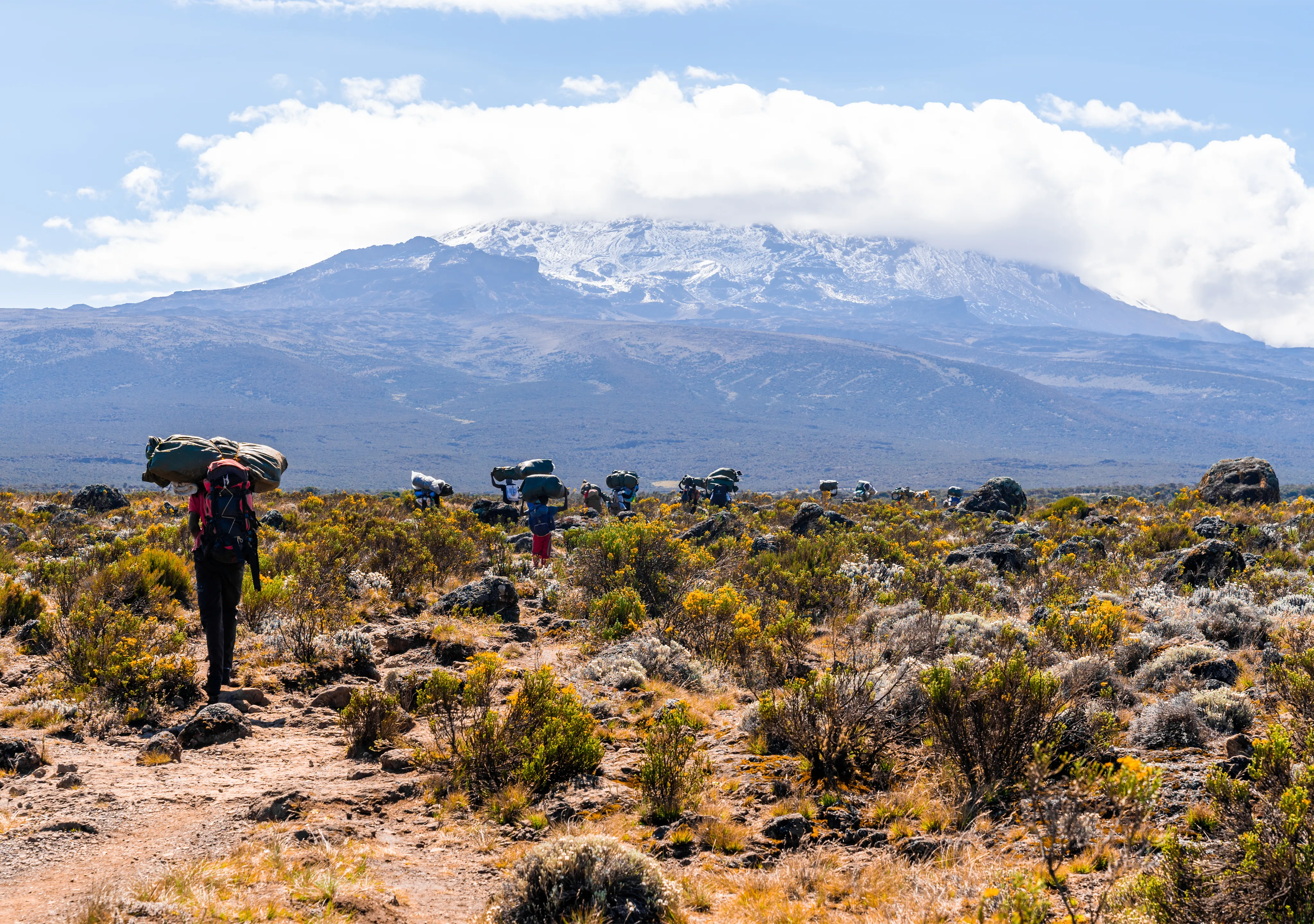 Kilimanjaro Trekking