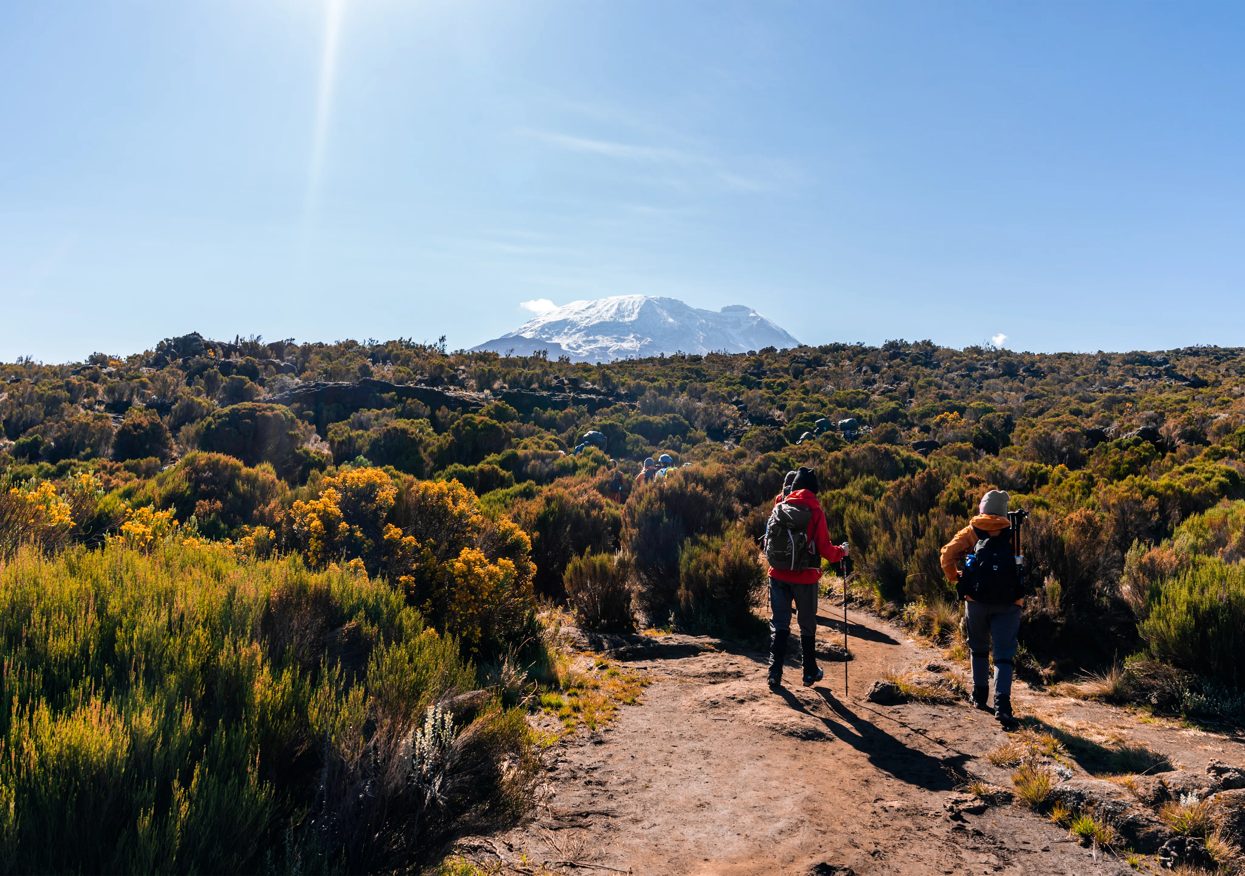 Trekking Poles Kilimanjaro