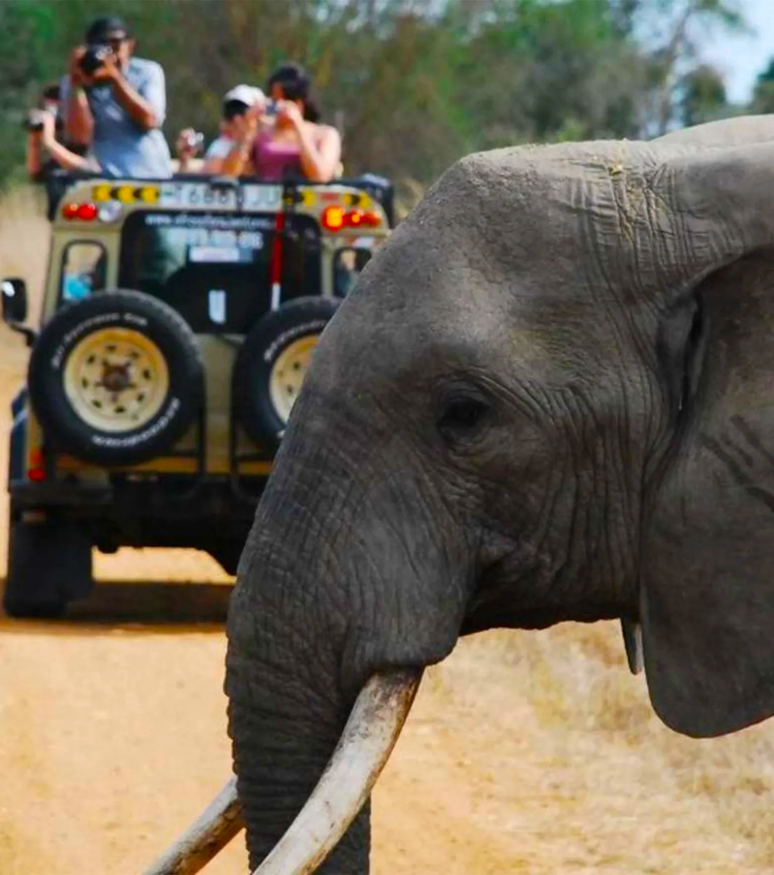 Mikumi Game Drives