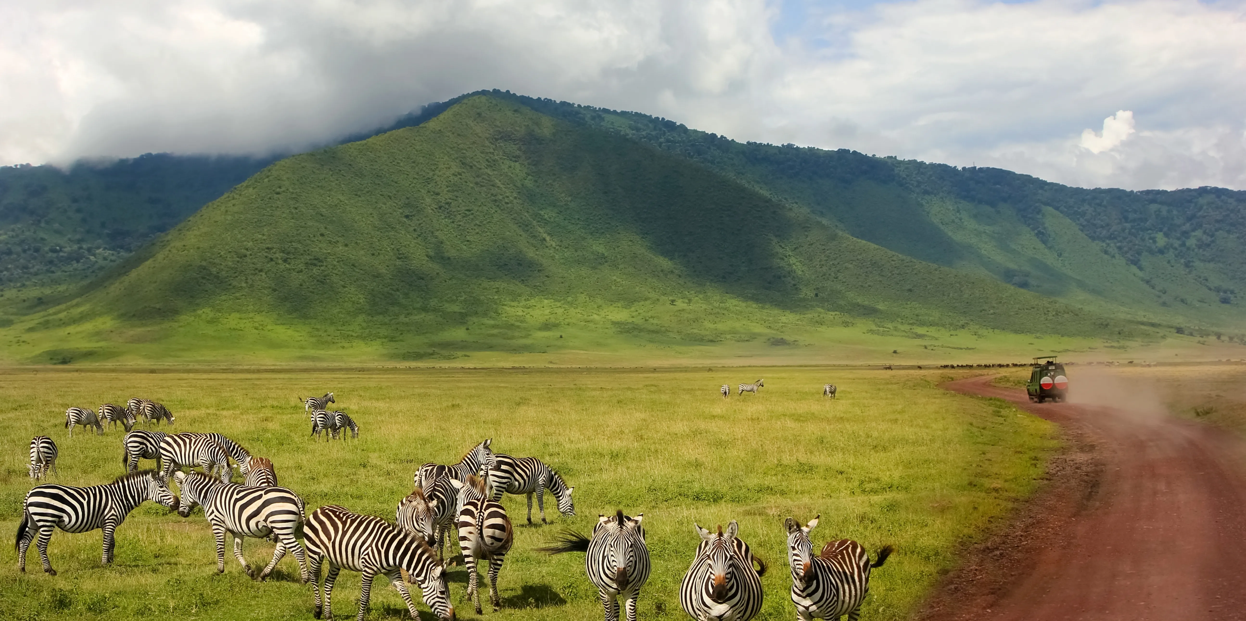 Ngorongoro Crater Safari
