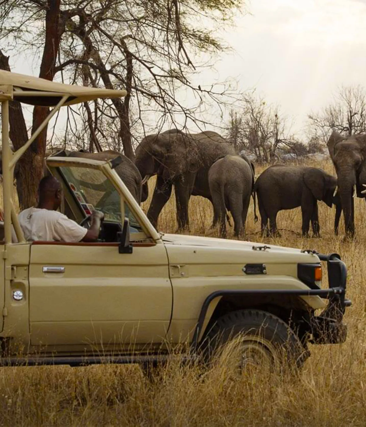 Ruaha Game Drive