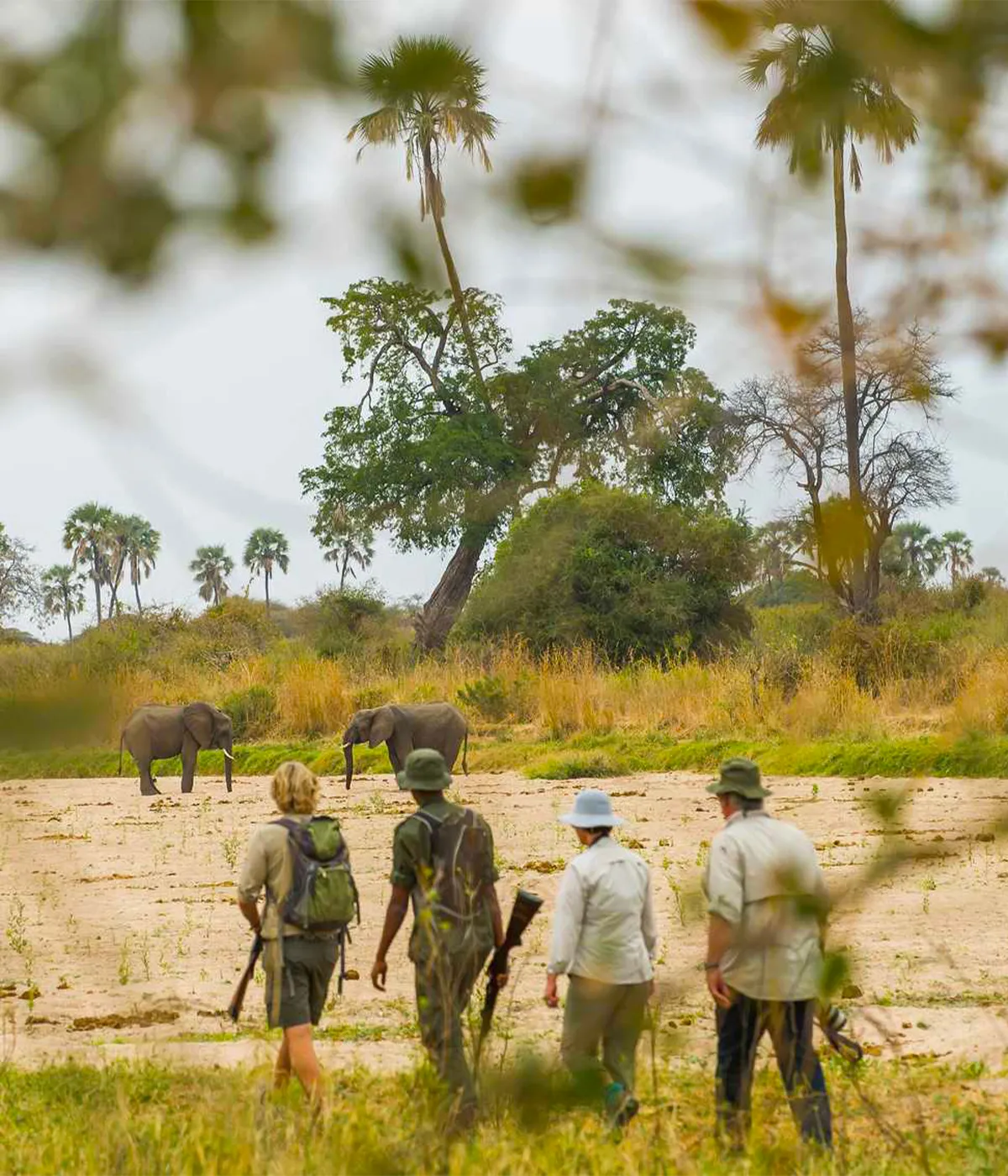 Remote Safari Destinations