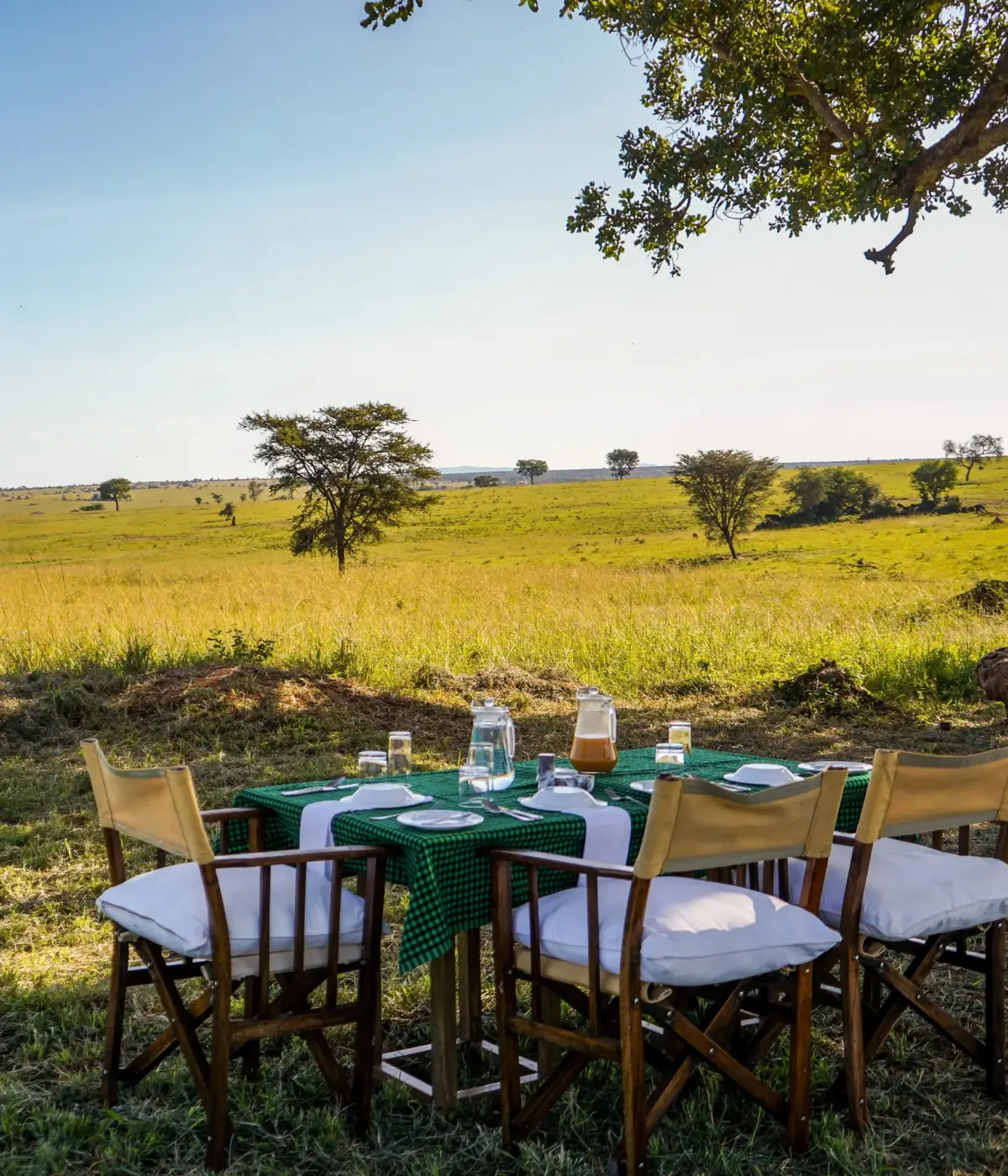 Serengeti Luxury Safari Cost