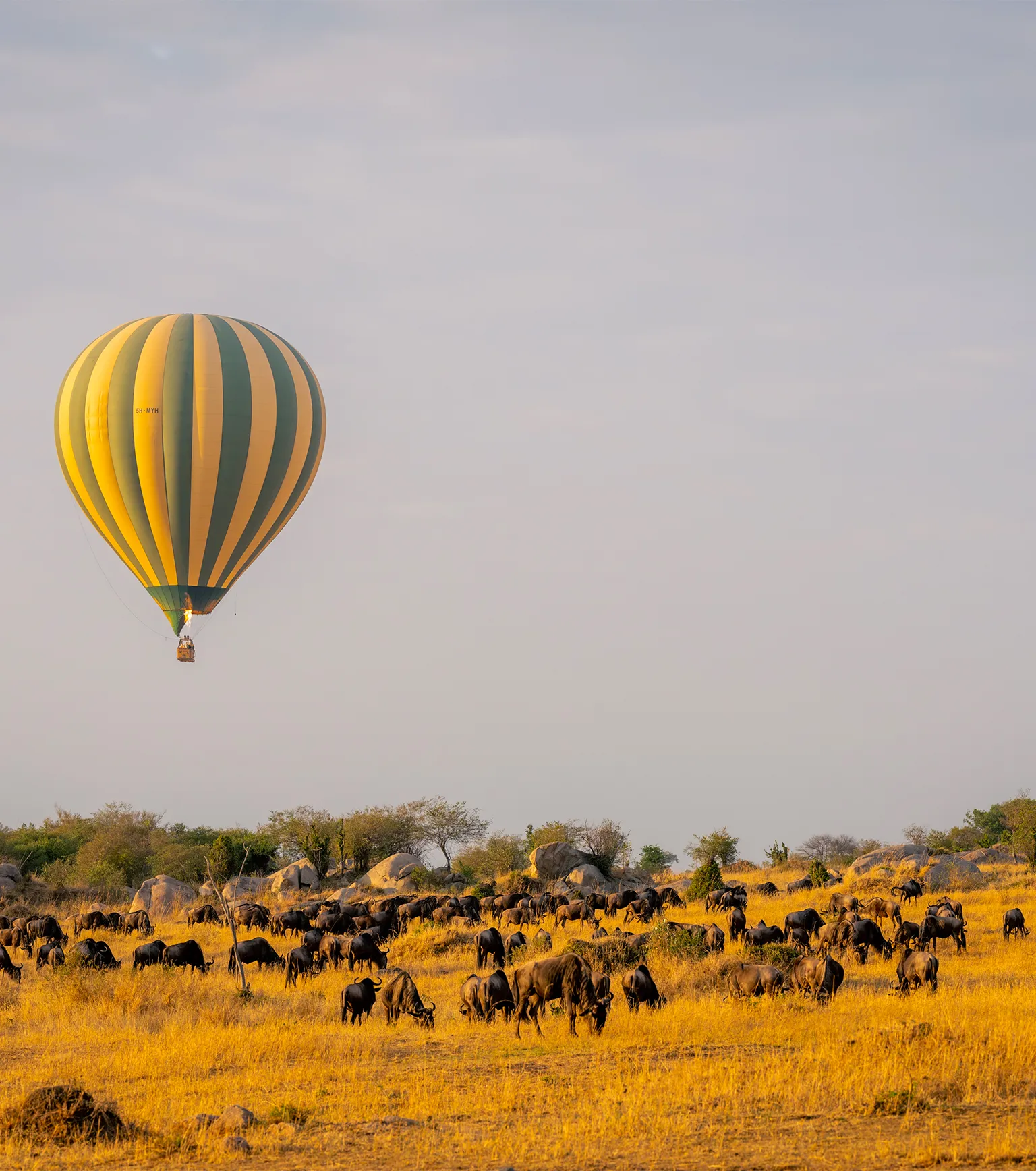 Hot Air Balloon Ride