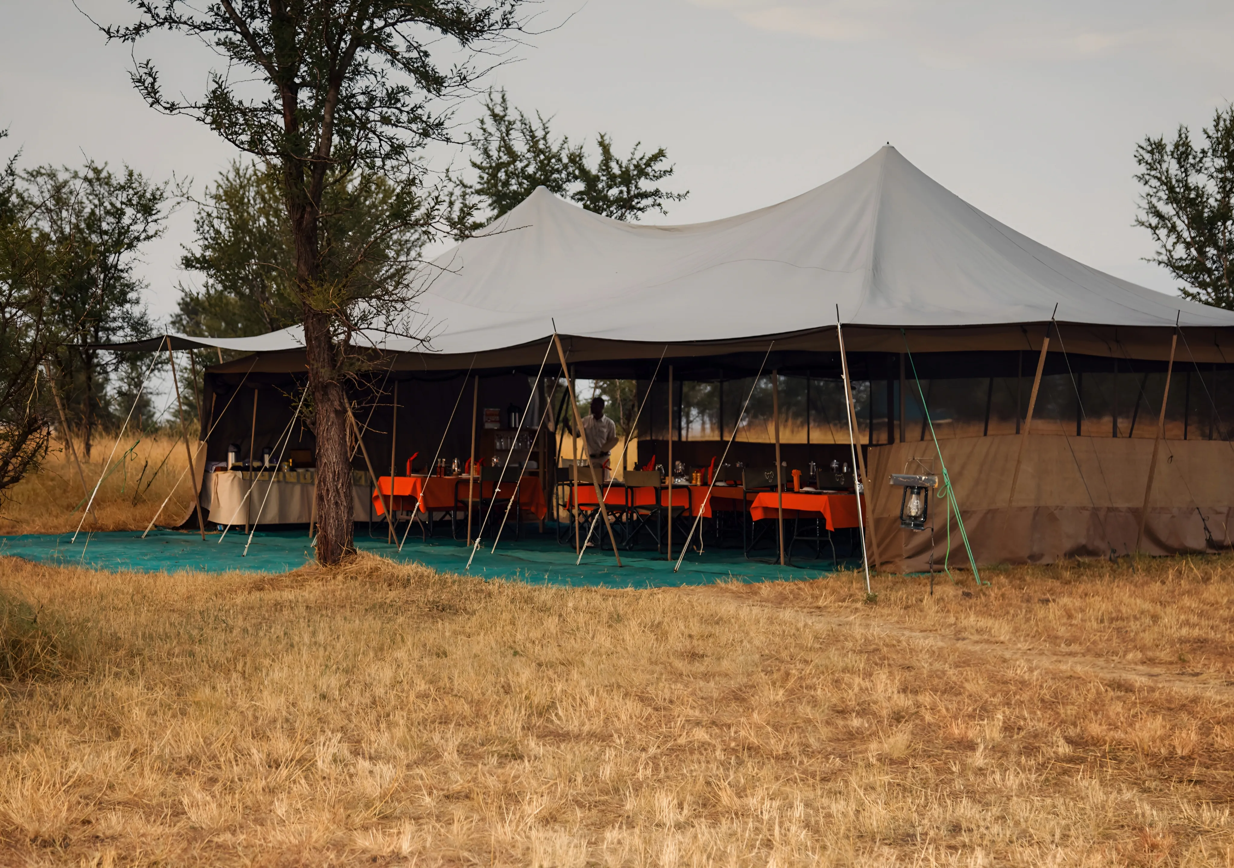 Serengeti Safari Accommodation