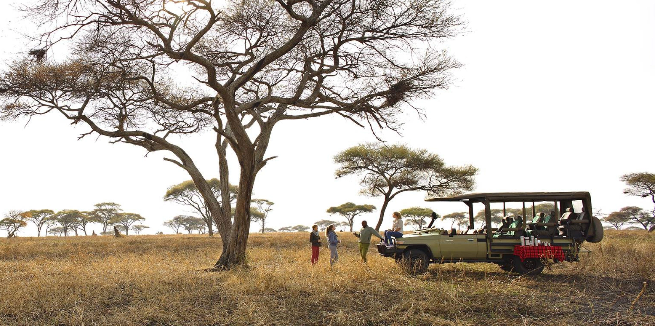 Tailor-Made Tour