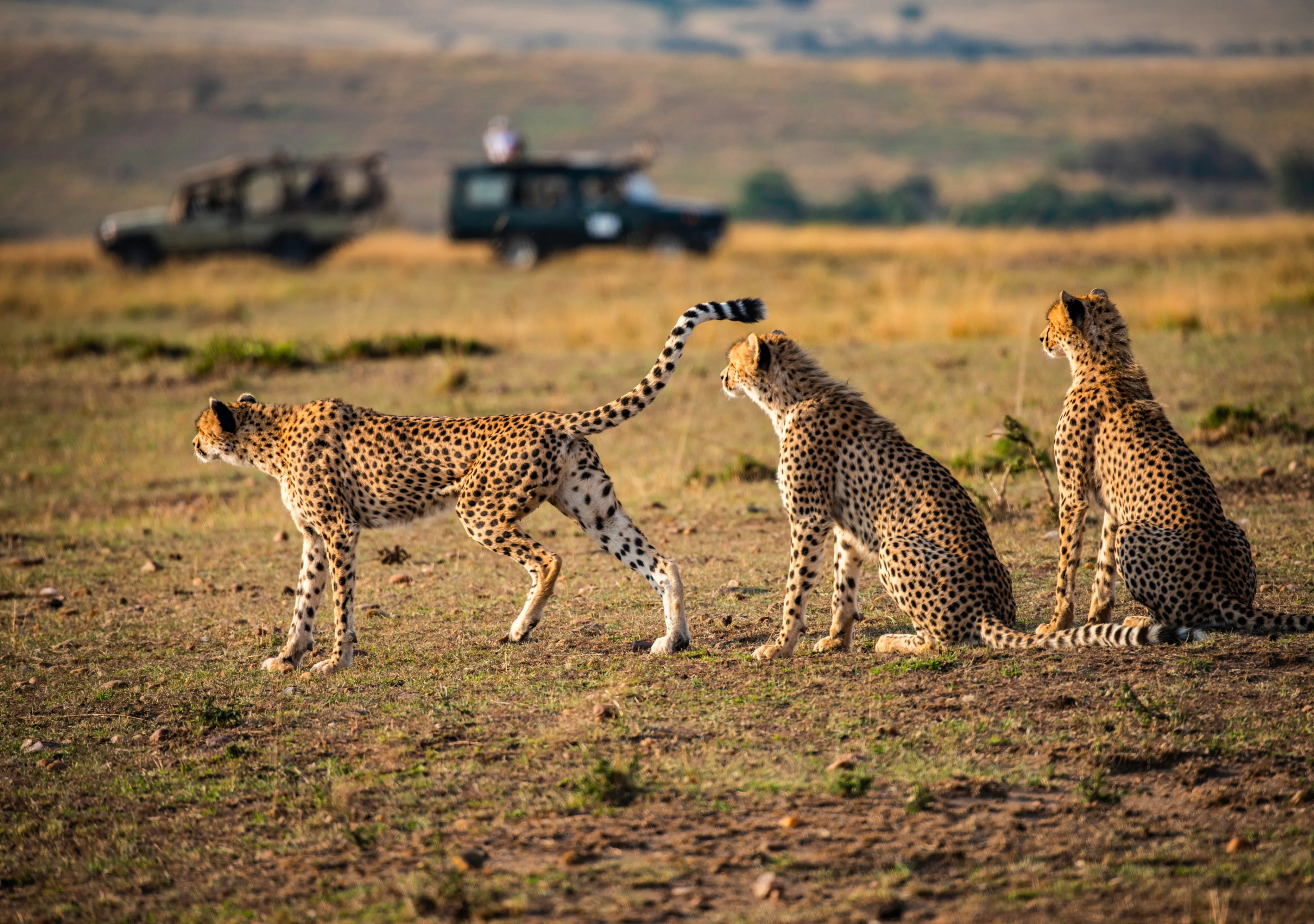Tanzania Destinations