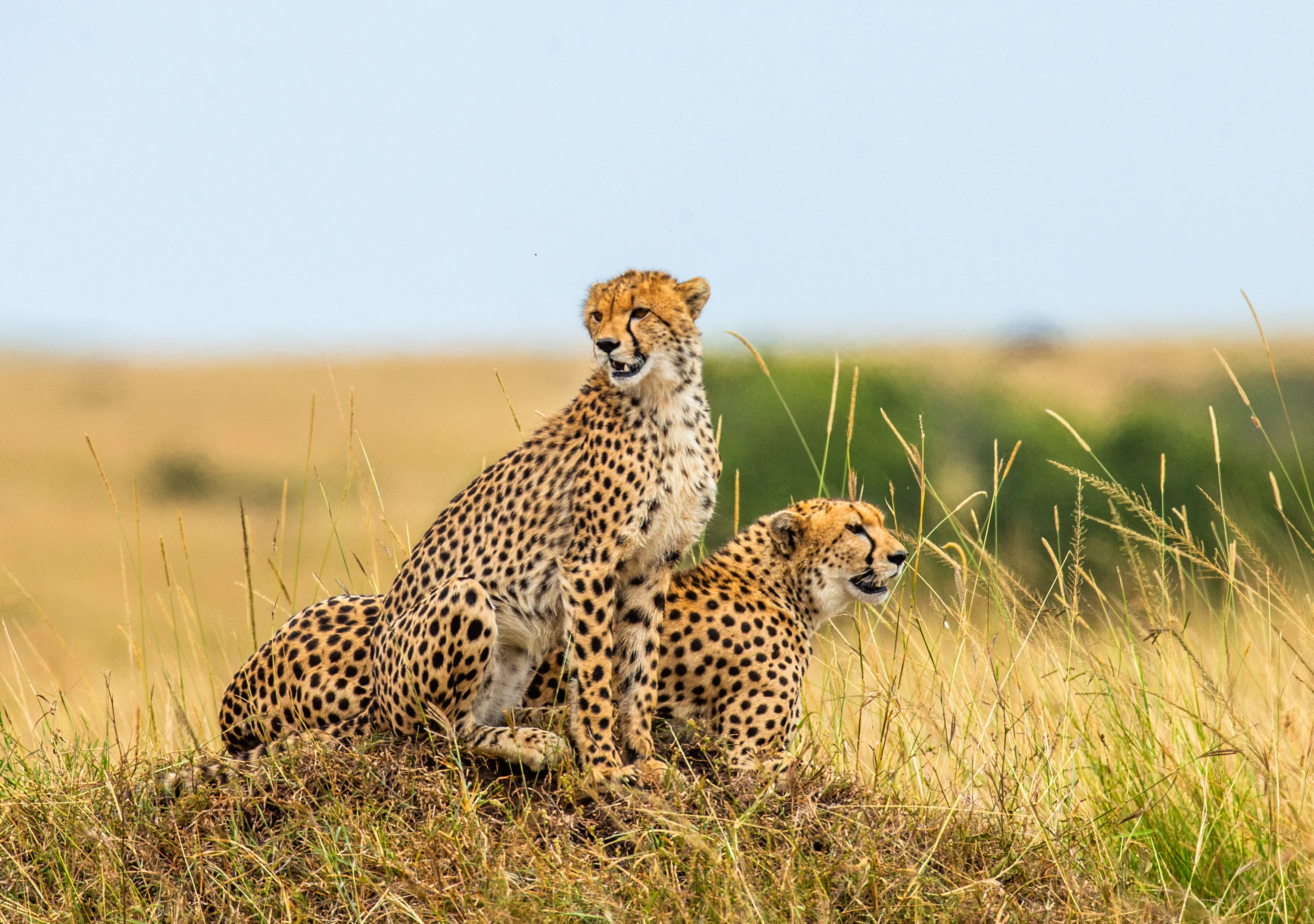 How Much Does It Cost To Visit Tanzania