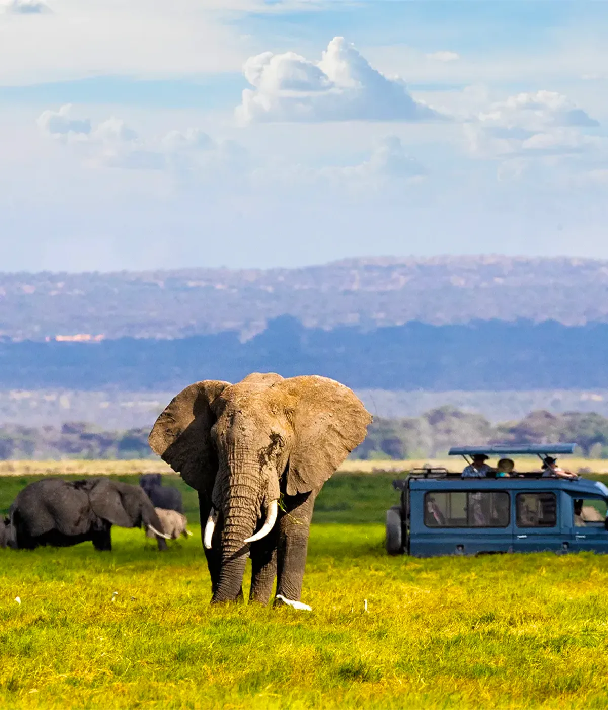 Tanzania Safari Cost
