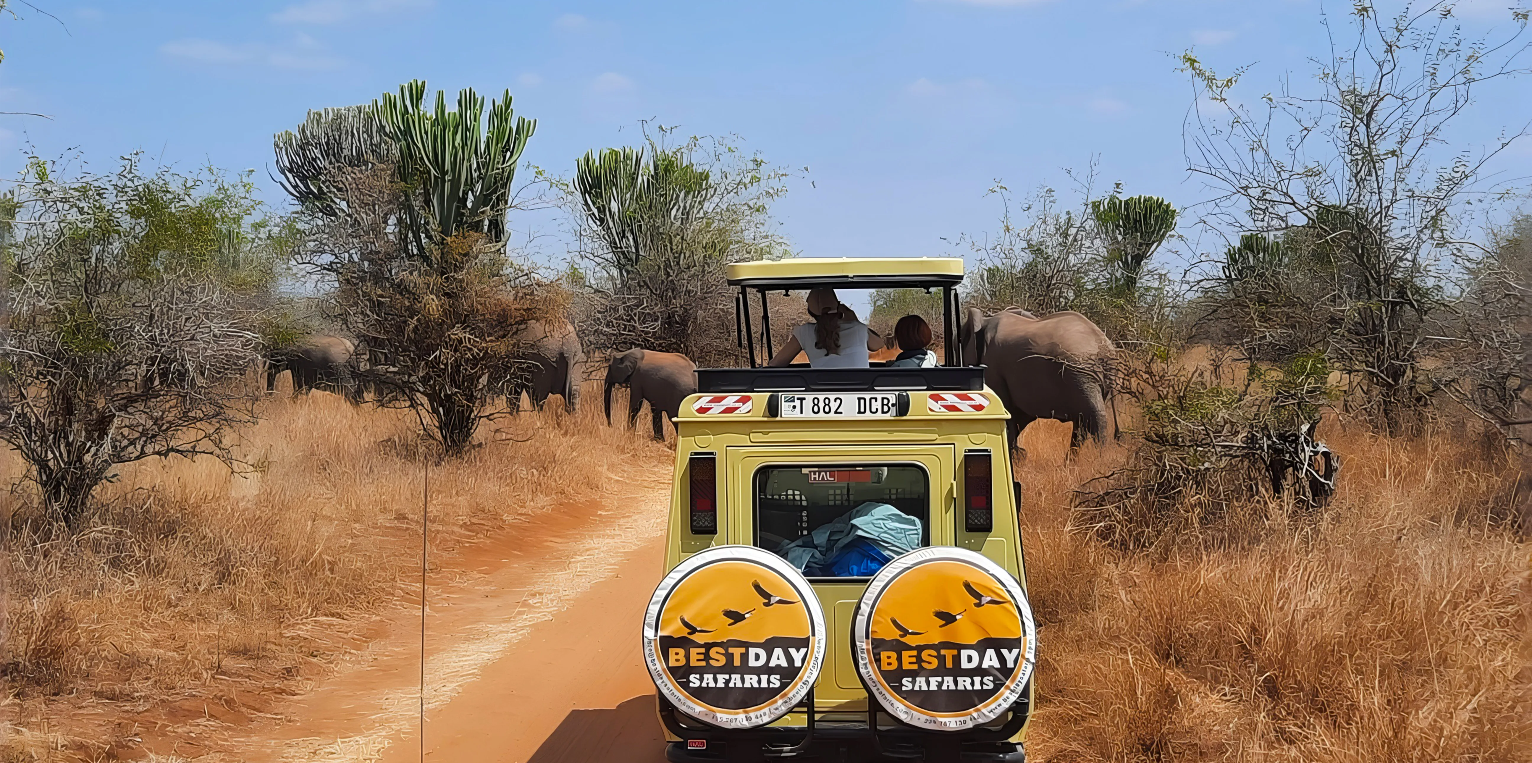 tanzania-travel-guides
