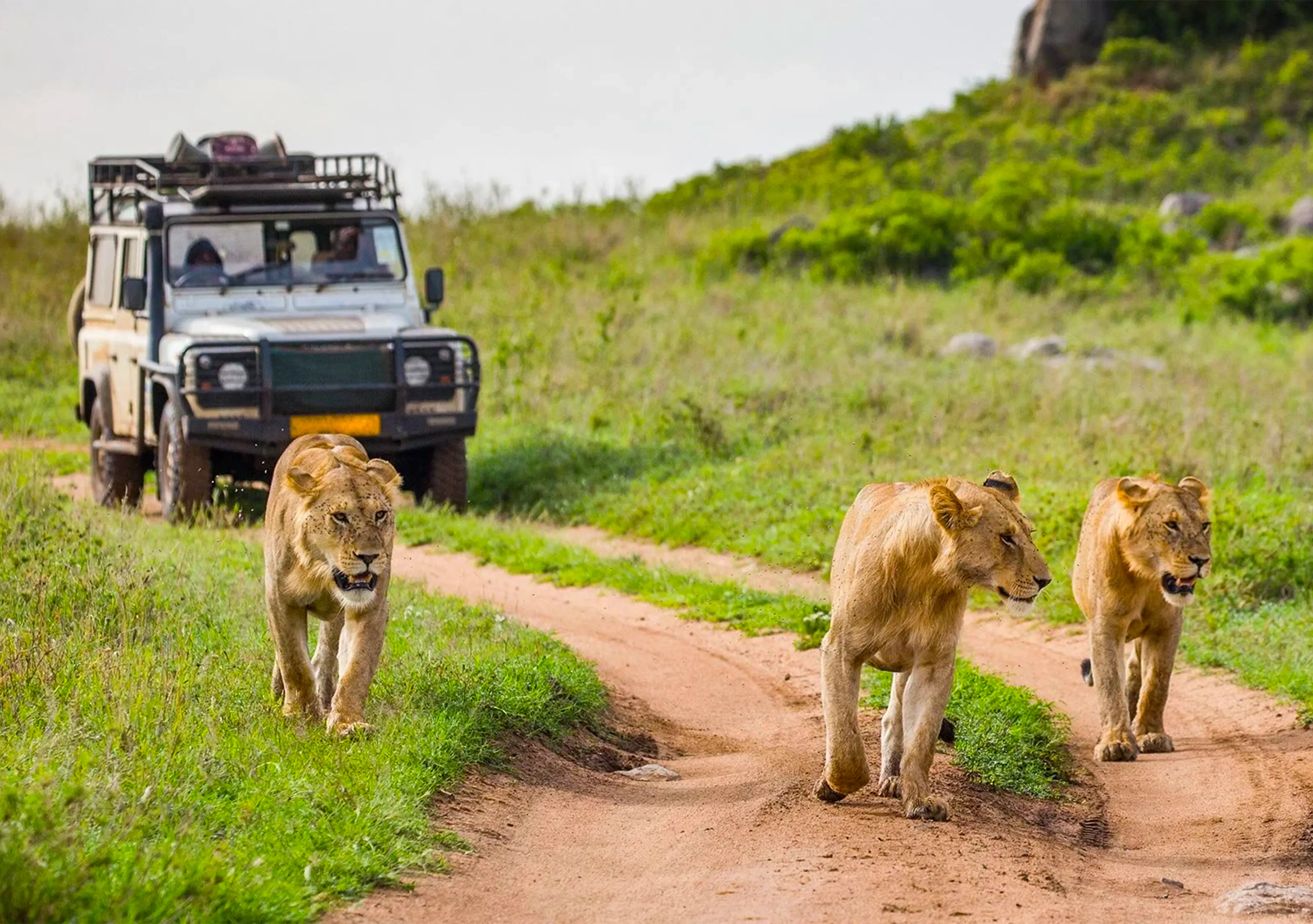 Travellers on Personal Safety