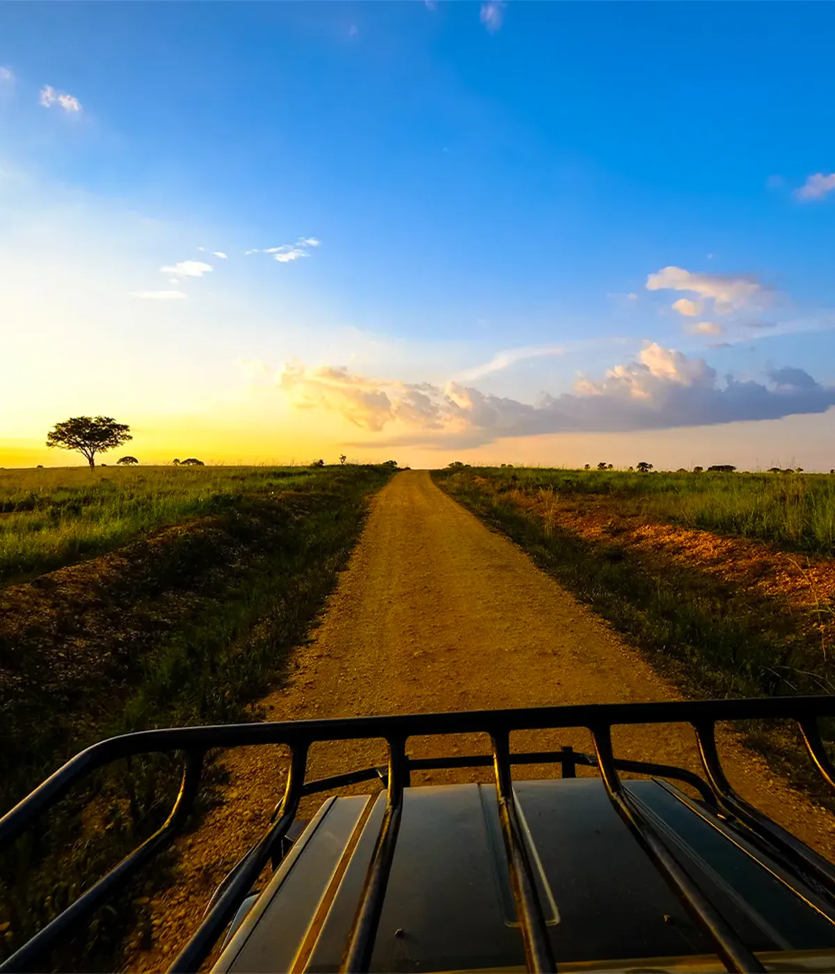 Tanzania Travel Safety