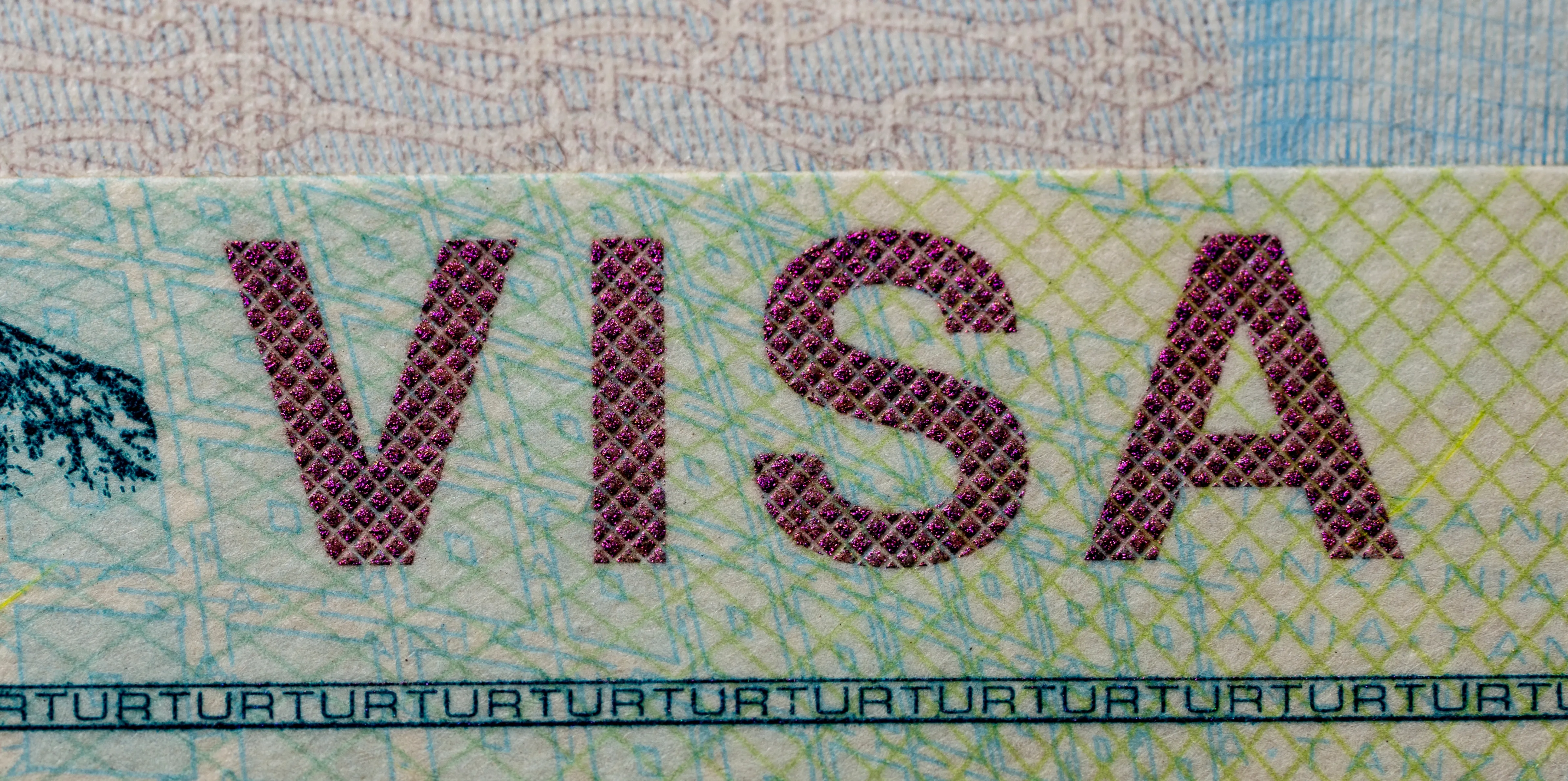 Tanzania Visa