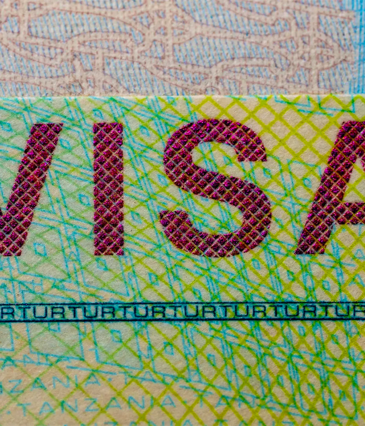 Tanzania Visa