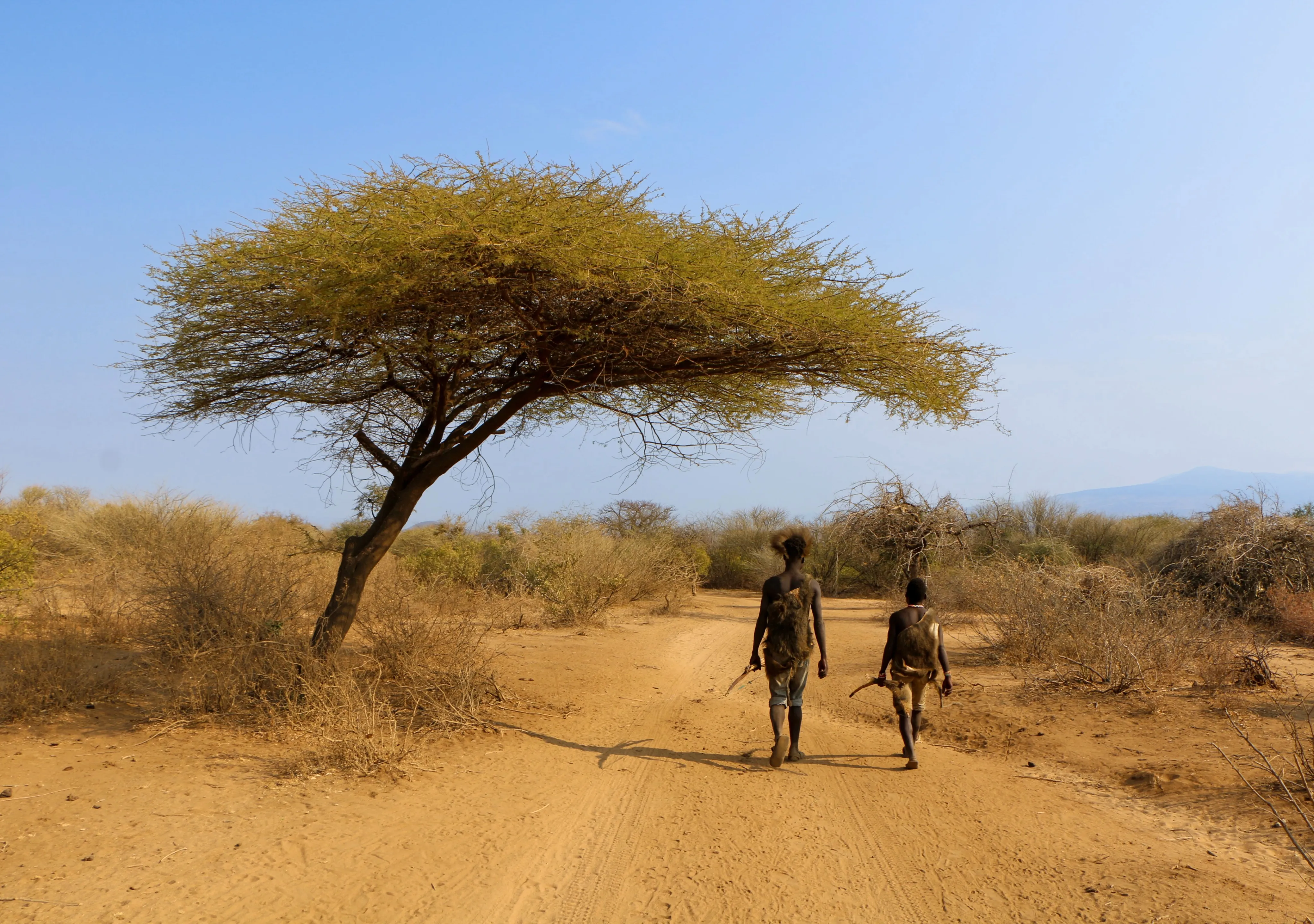 Tanzania Walking Safari