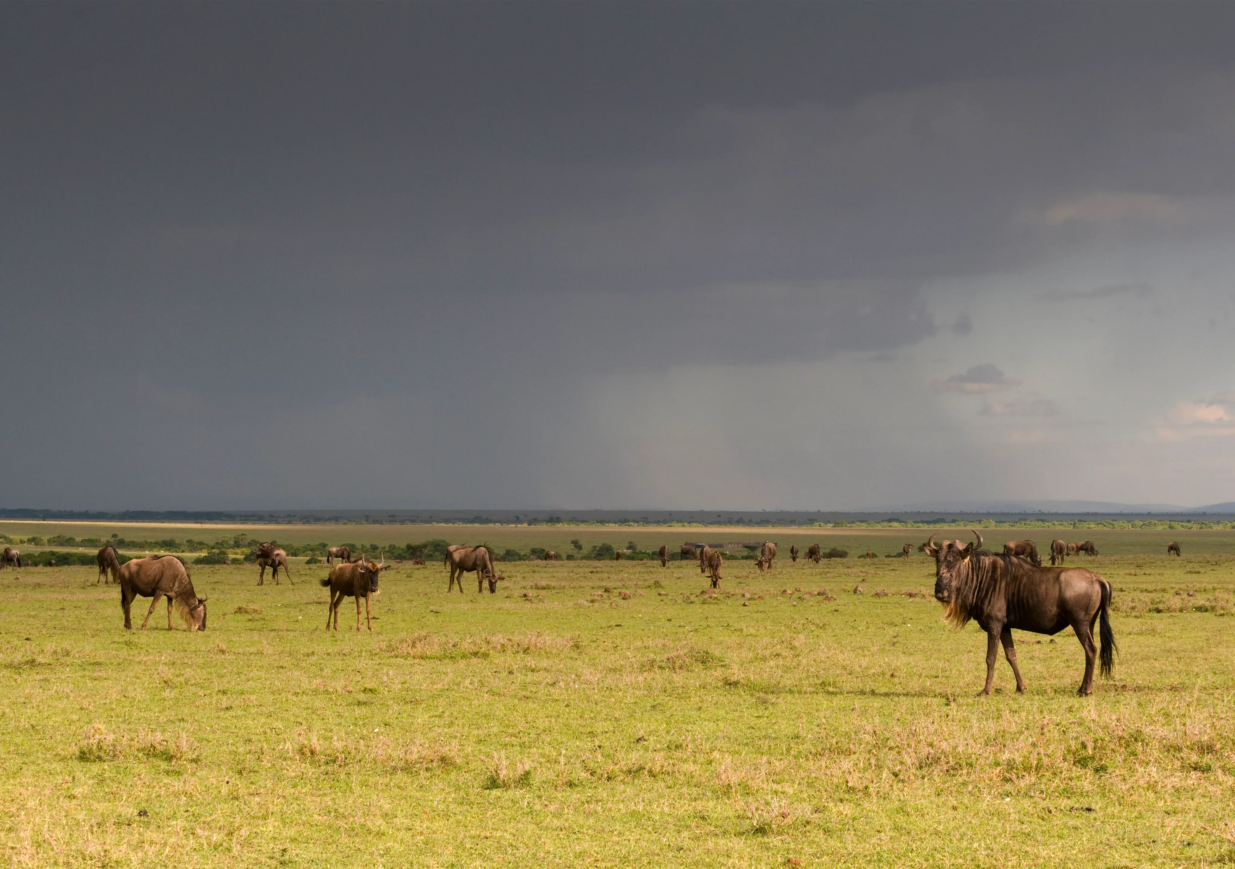 weather in Tanzania