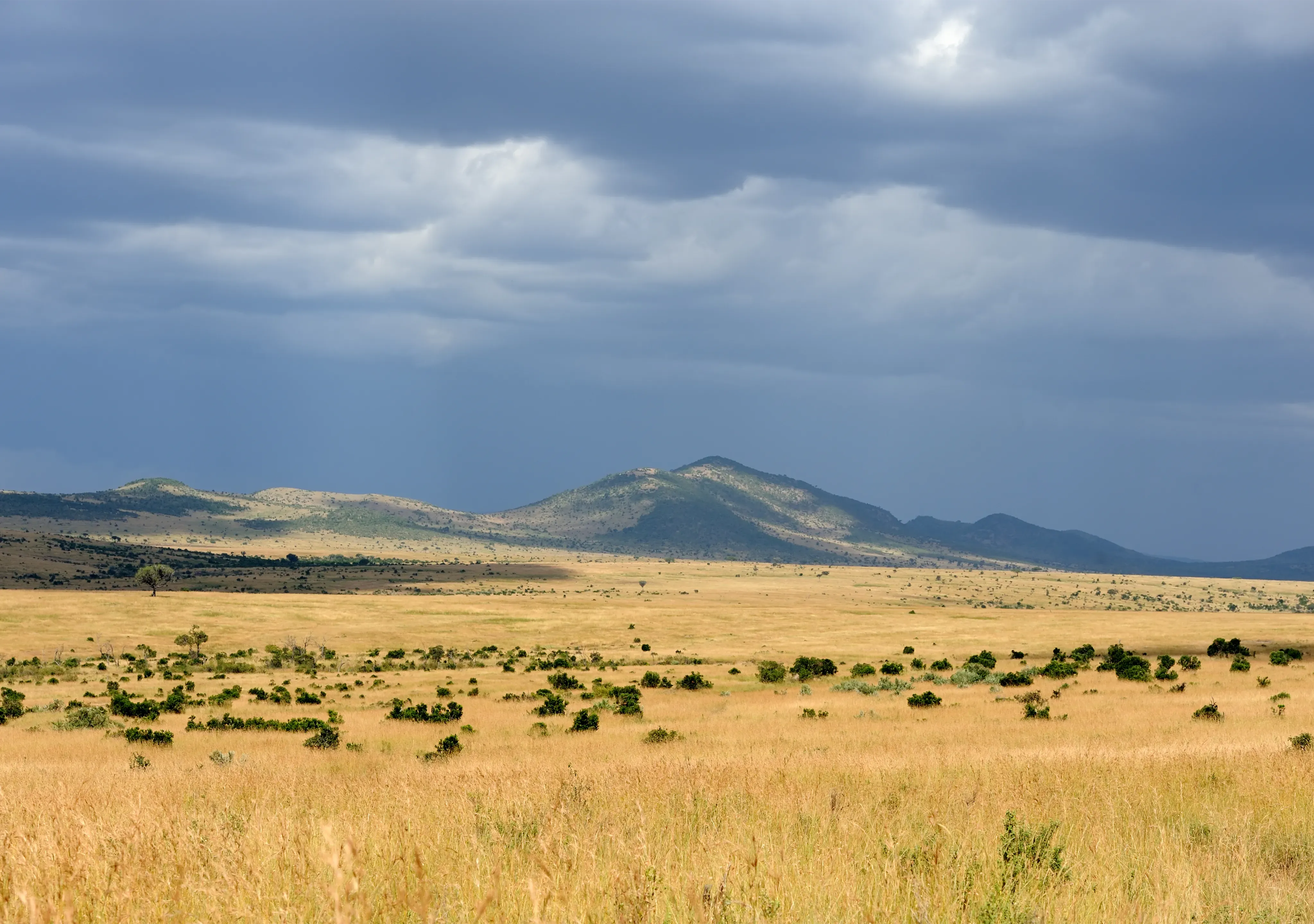 Tanzania temperatures