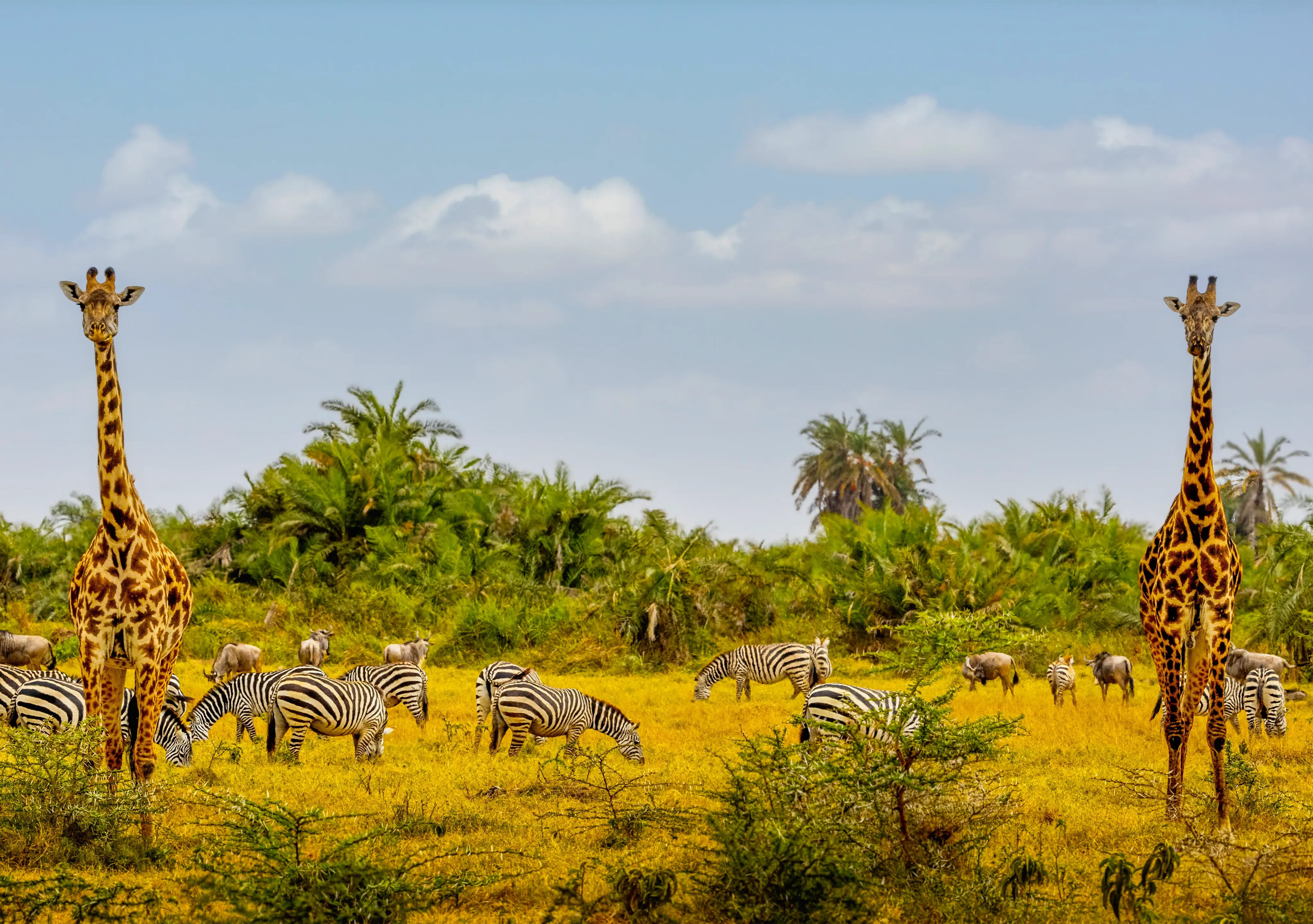  Temperatures in Tanzania