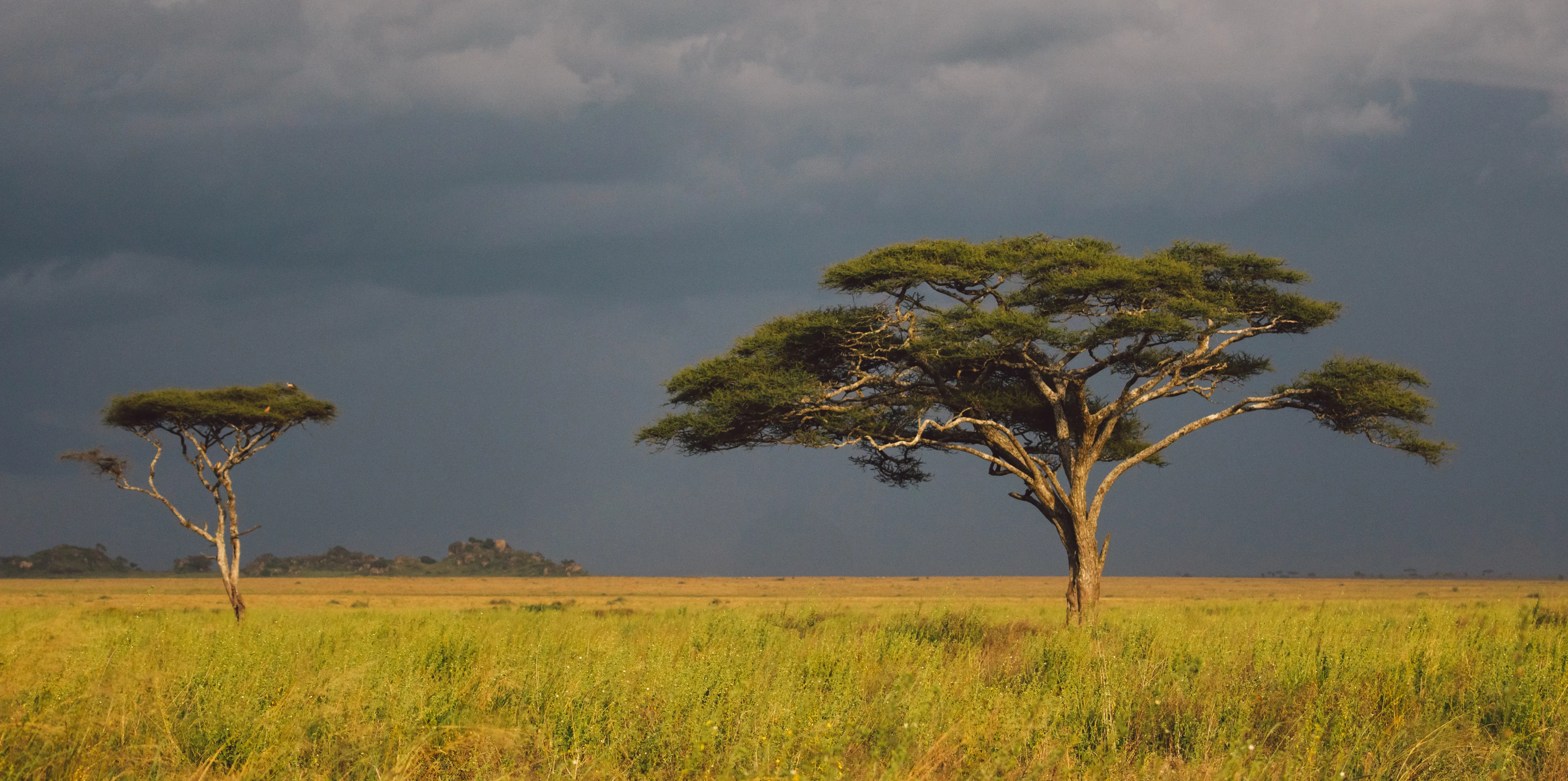 Tanzania Weather